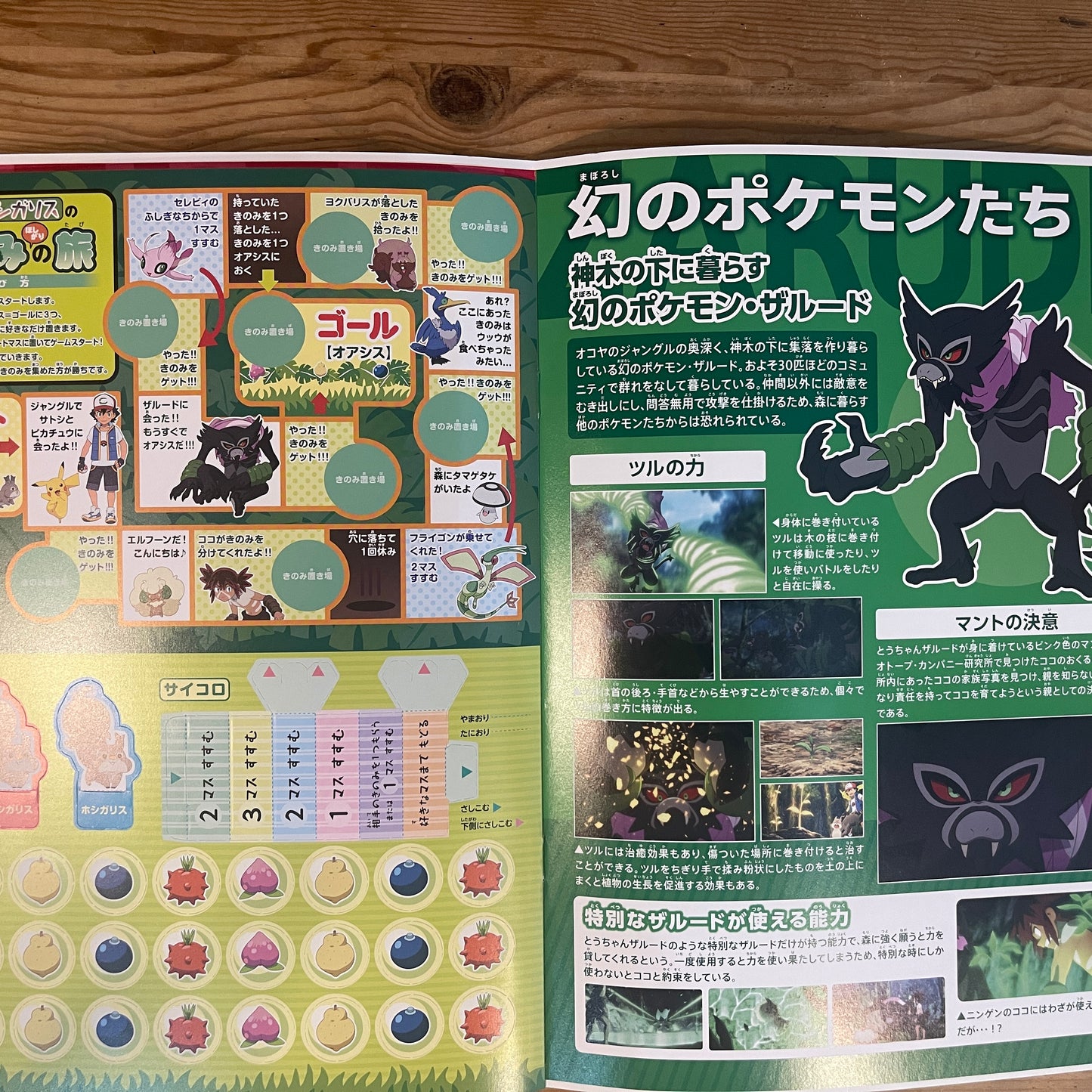 劇場版ポケットモンスター ココ 公式パンフレット / Pokémon the Movie: Secrets of the Jungle Official Pamphlet