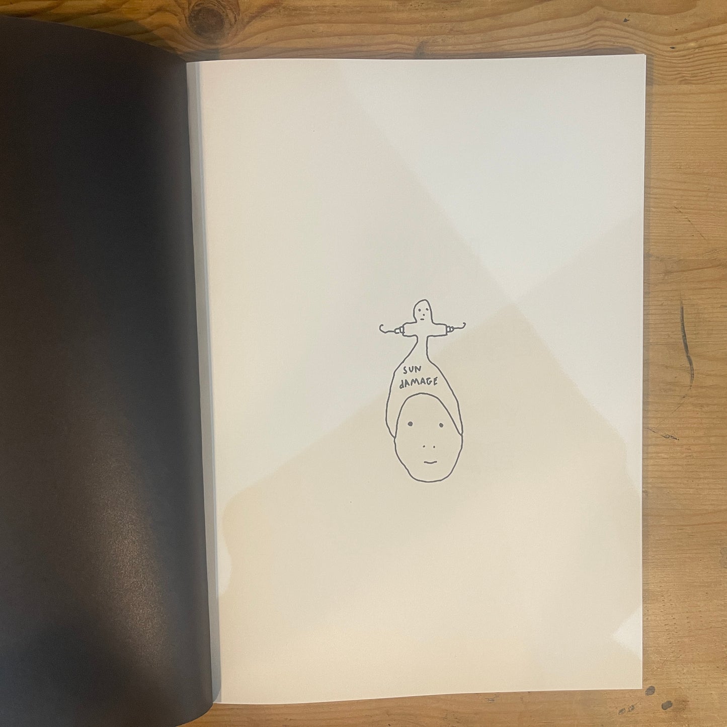 SUN DAMAGE Harmony Korine + Supreme 2021 ART BOOK / SUN DAMAGE by Harmony Korine + Supreme 2021 Art Book