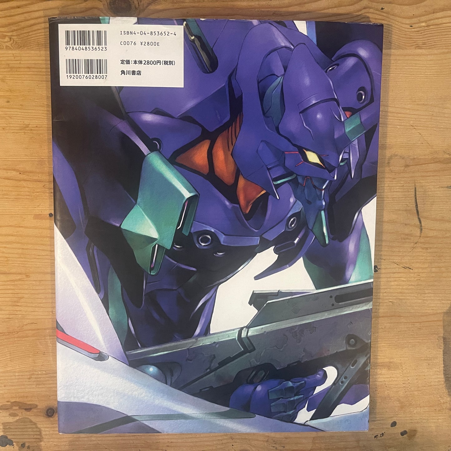 NEON GENESIS EVANGELION DIE STERNE イラスト集 / NEON GENESIS EVANGELION DIE STERNE: Illustration Collection