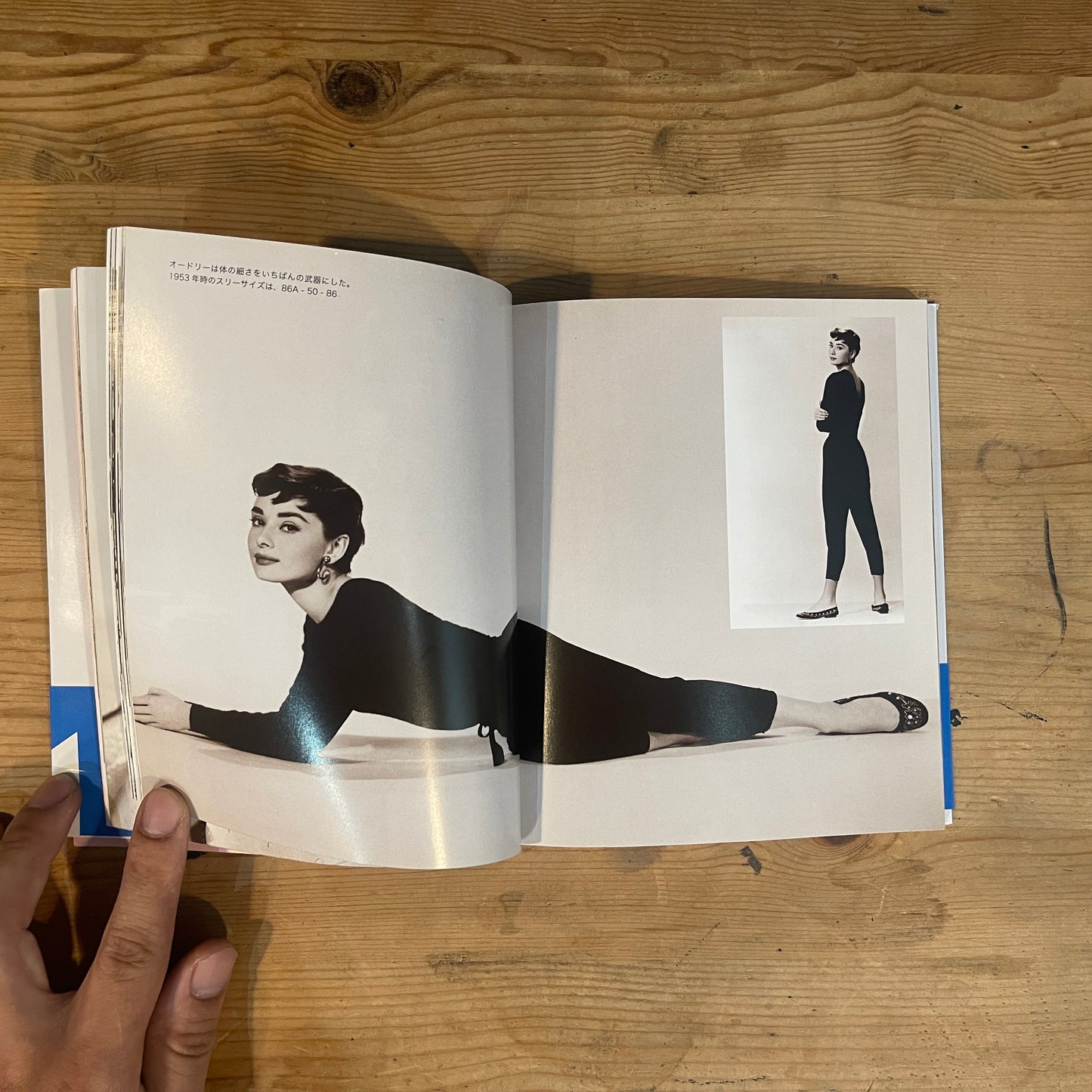 Audrey STYLE オードリー・ヘップバーン 没後20年追悼出版 / Audrey STYLE: A Tribute on the 20th Anniversary of Her Passing