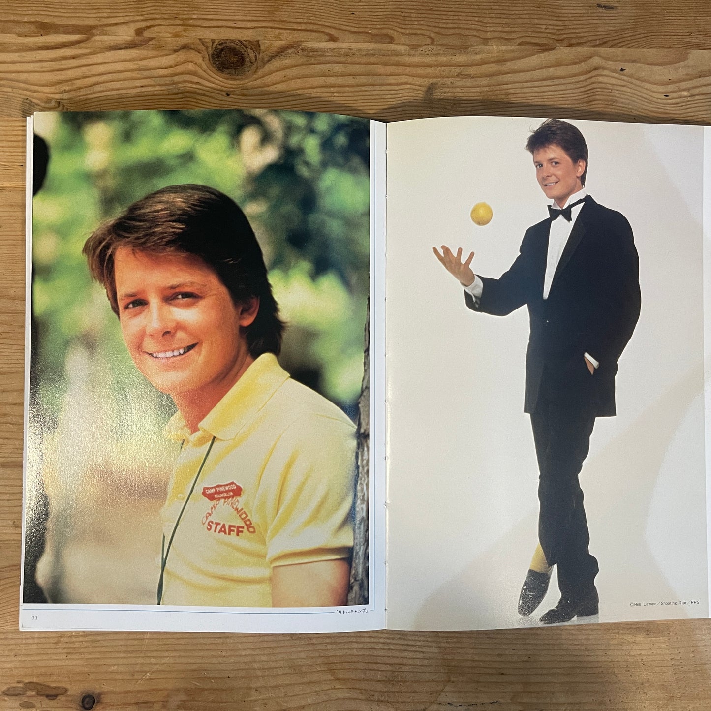 デラックスカラーシネマアルバム24 マイケル・J・フォックス / Deluxe Color Cinema Album 24: Michael J. Fox