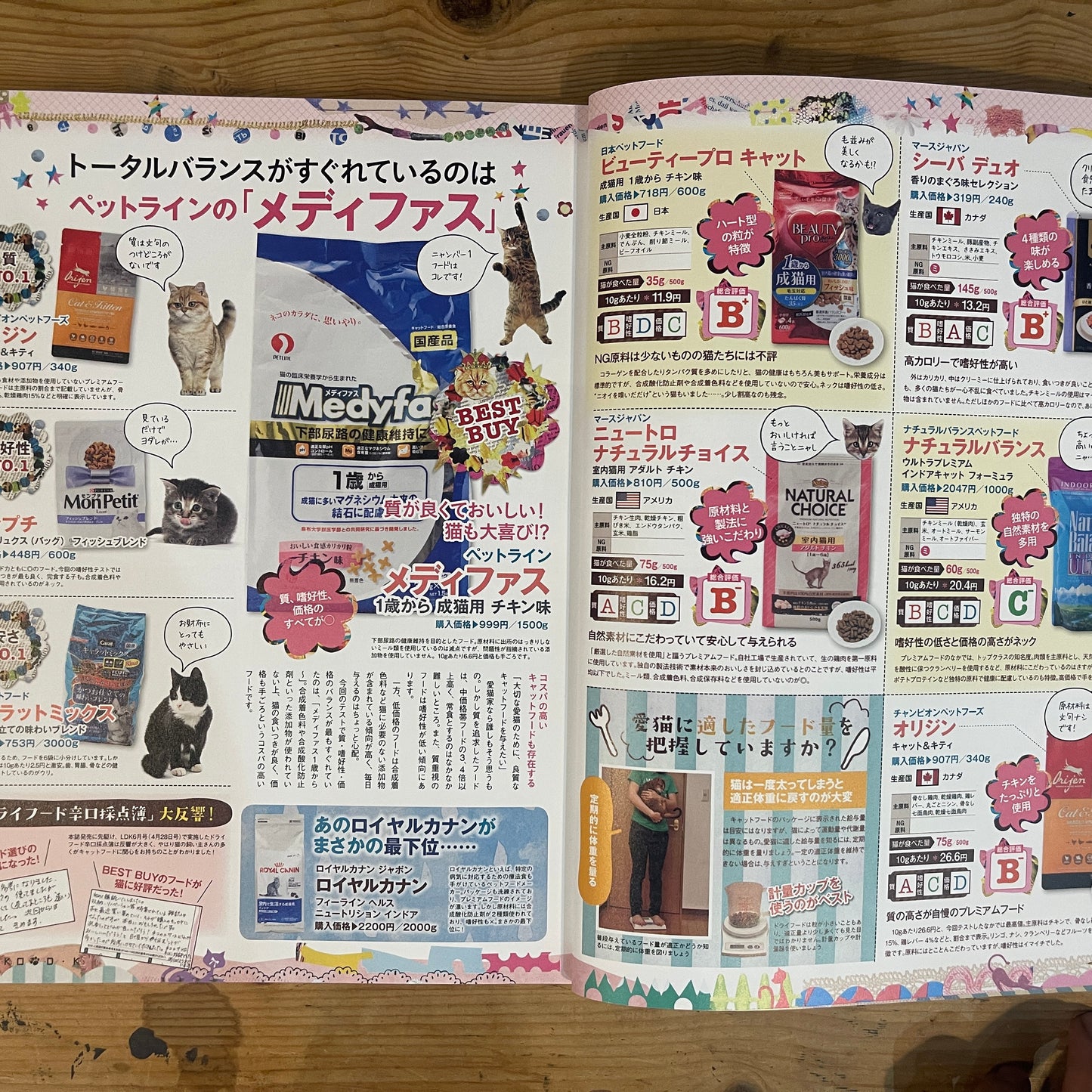 ネコDK SNSかわいいネコ大賞! / Nekko DK SNS Cute Cat Grand Prix!