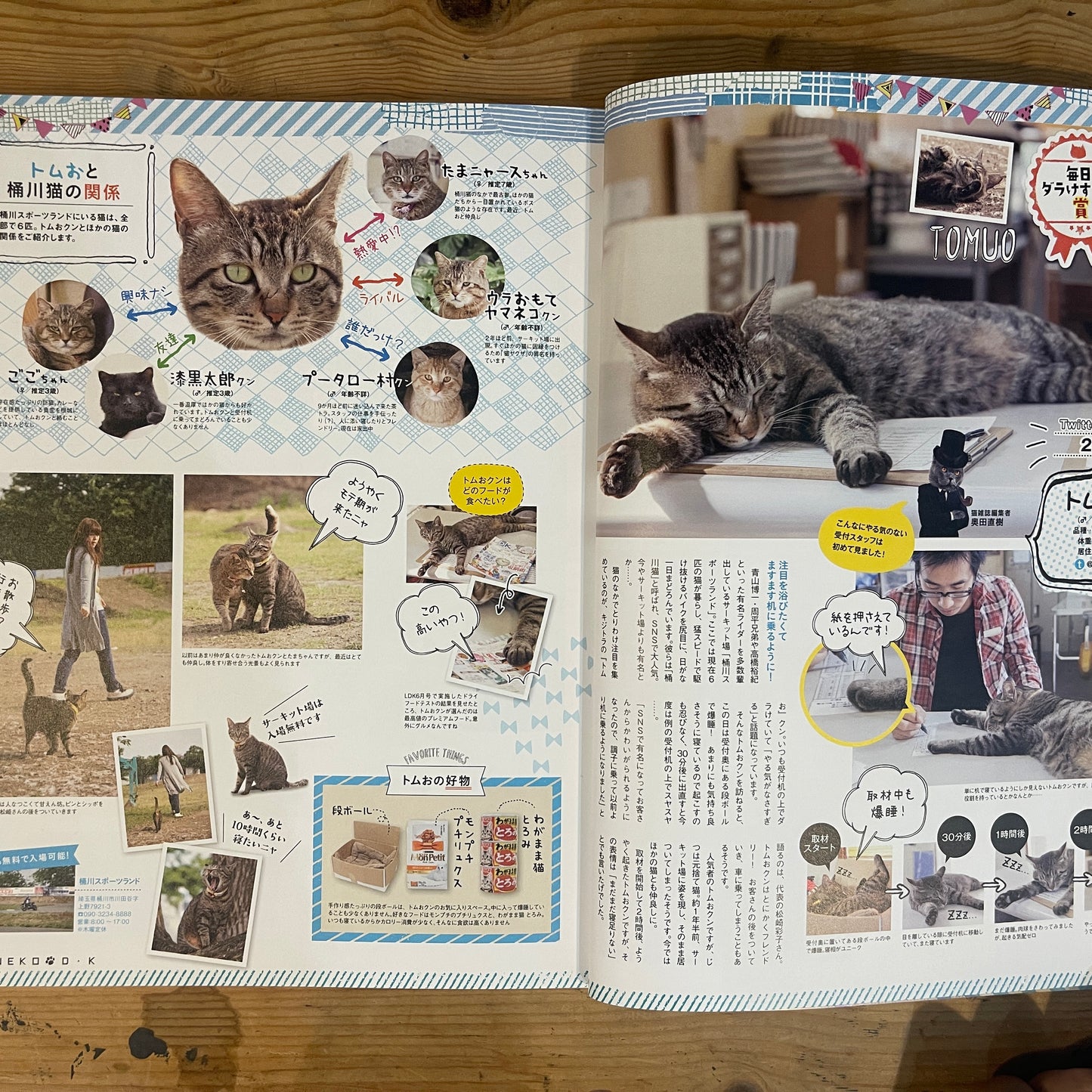 ネコDK SNSかわいいネコ大賞! / Nekko DK SNS Cute Cat Grand Prix!