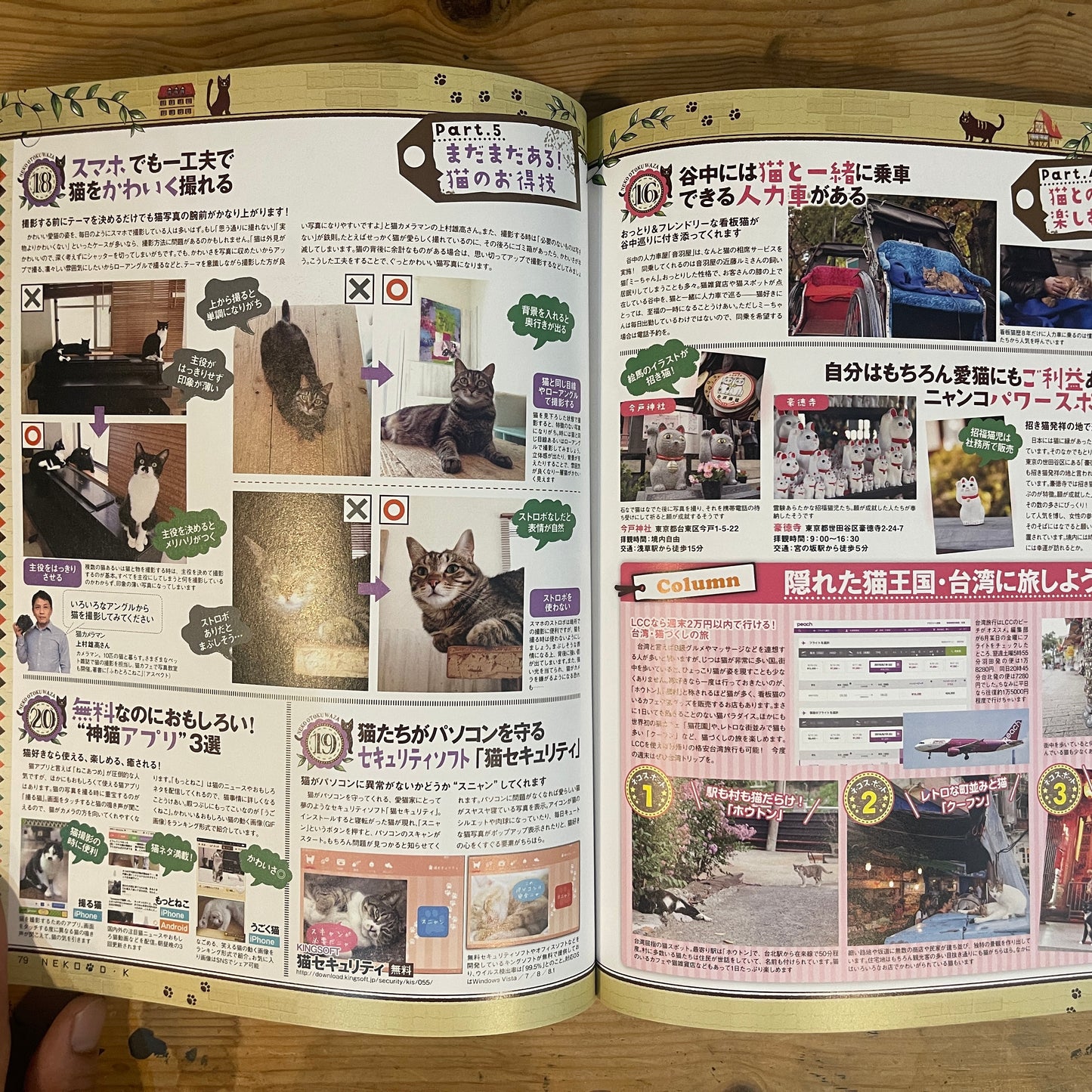 ネコDK SNSかわいいネコ大賞! / Nekko DK SNS Cute Cat Grand Prix!