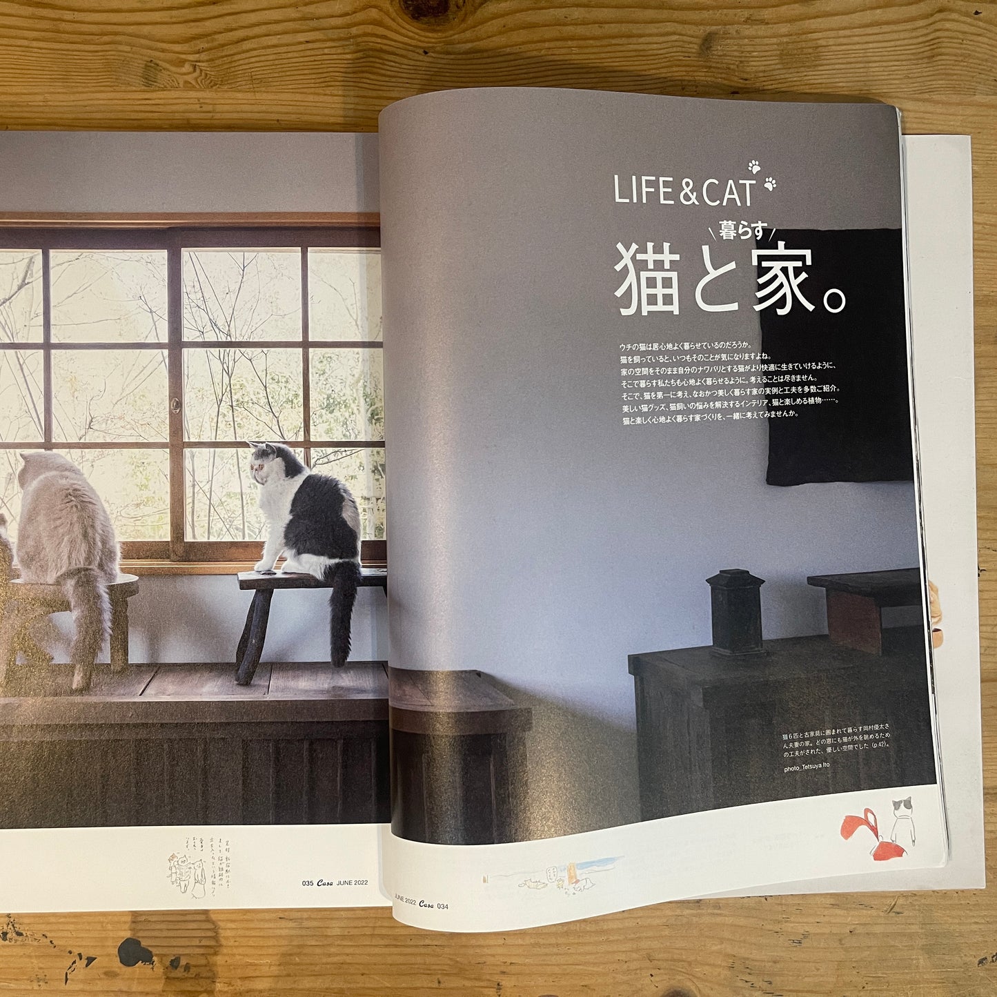 Casa BRUTUS LIFE&CAT 猫と家。 / Casa BRUTUS LIFE&CAT: Cats & Homes