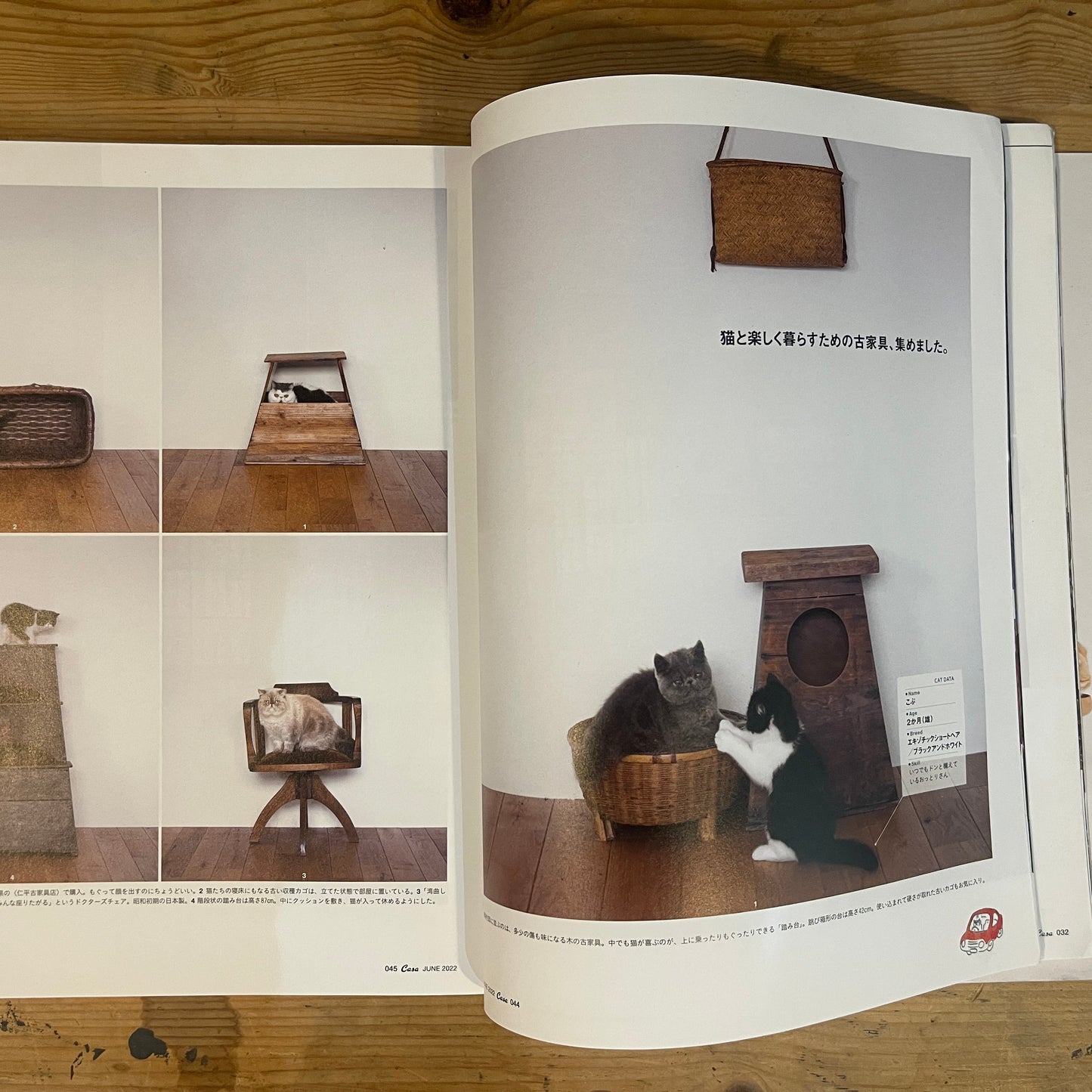 Casa BRUTUS LIFE&CAT 猫と家。 / Casa BRUTUS LIFE&CAT: Cats & Homes