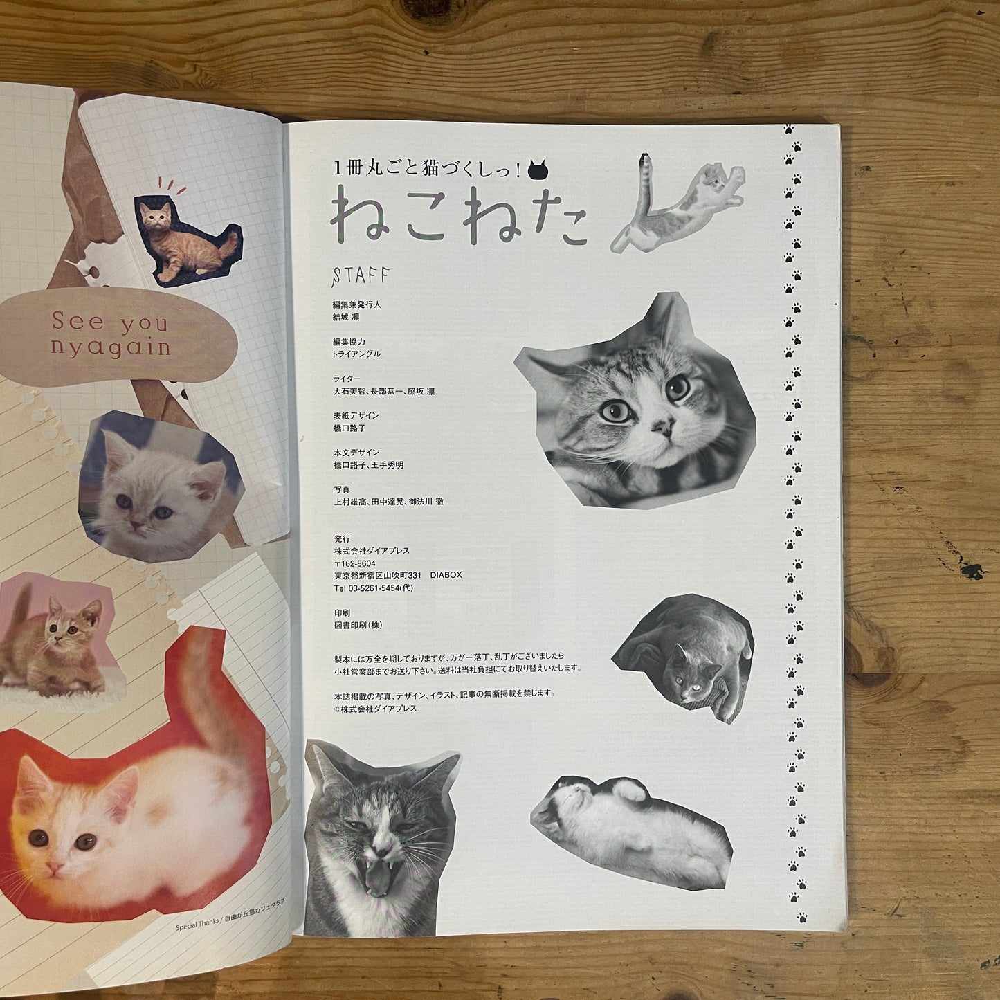 商品タイトル 1冊丸ごと猫づくしっ! ねこねた / Nekoneta: An Entire Book About Cats!