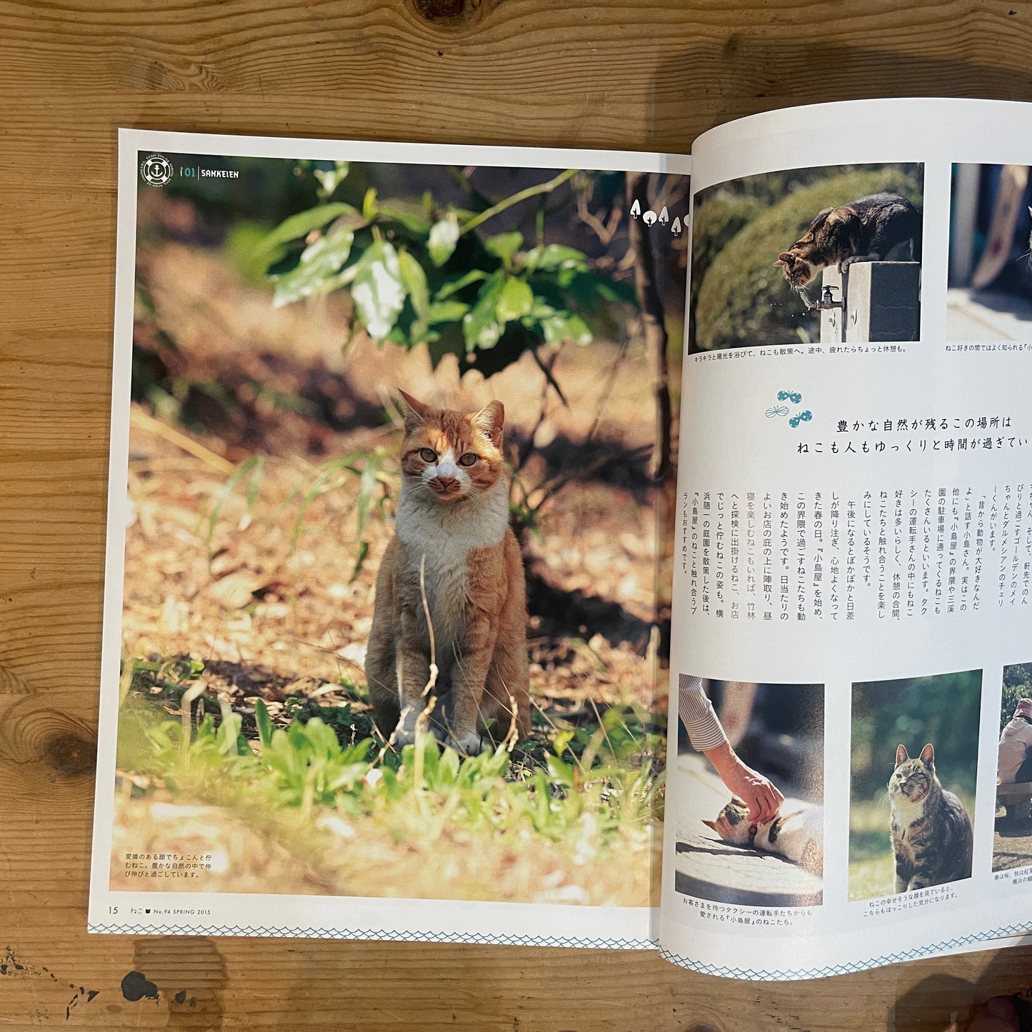 ねこ 春号 #94 SPRING 2015 横浜のねこ / Nekko (Cats) Spring 2015 #94 Cats of Yokohama