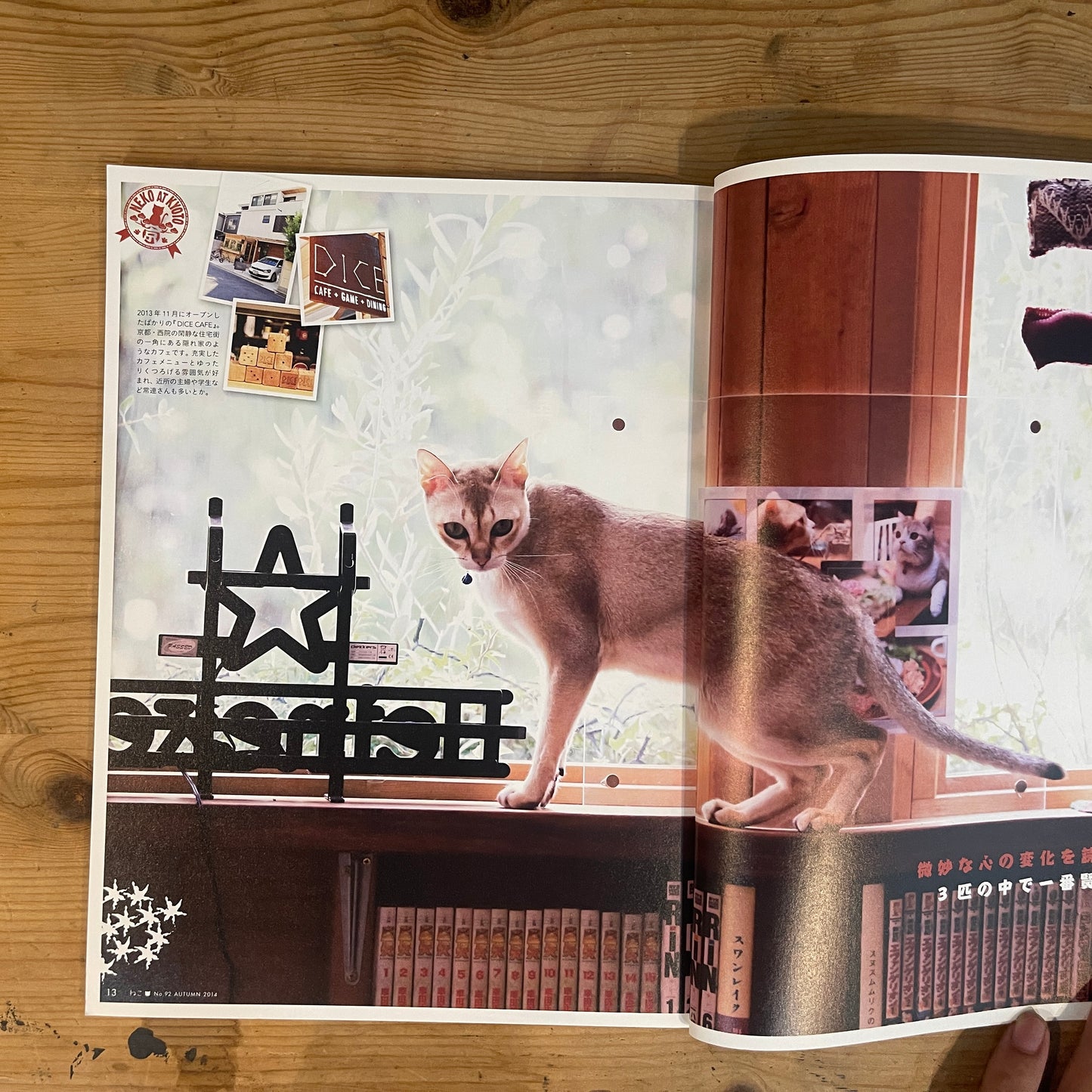 ねこ 秋号 #92 AUTUMN 2014 京都のねこ / Nekko (Cats) Autumn 2014 #92 Cats of Kyoto