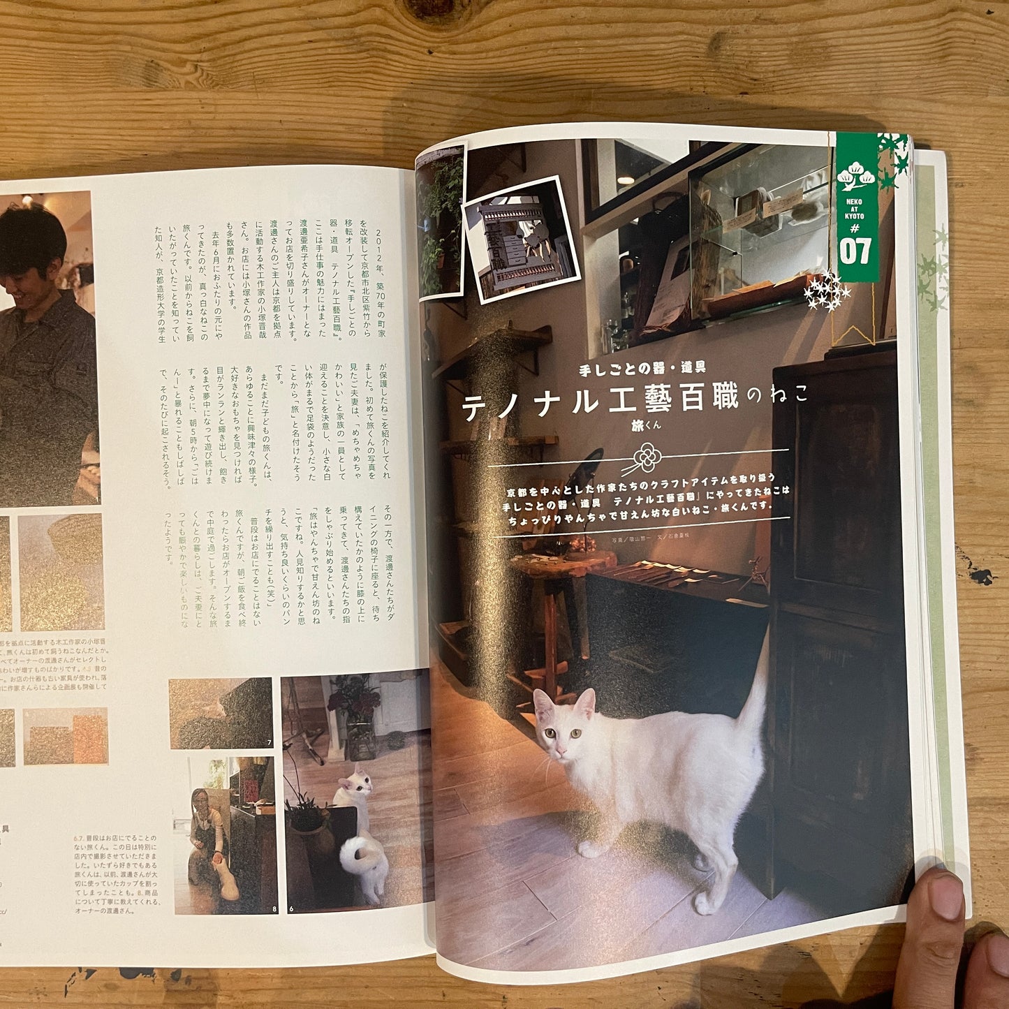 ねこ 秋号 #92 AUTUMN 2014 京都のねこ / Nekko (Cats) Autumn 2014 #92 Cats of Kyoto