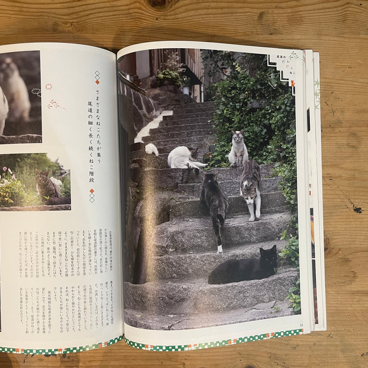 ねこ 秋号 #92 AUTUMN 2014 京都のねこ / Nekko (Cats) Autumn 2014 #92 Cats of Kyoto