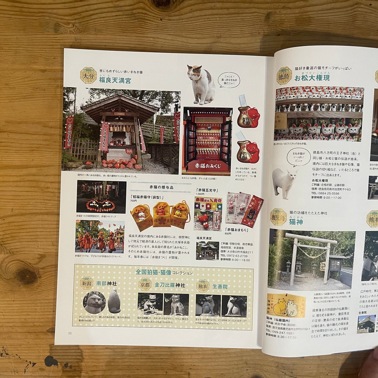 年末年始も猫、盛りだくさん! 猫ぐらし / New Year with Cats! Nekogurashi (Cat Life) Magazine