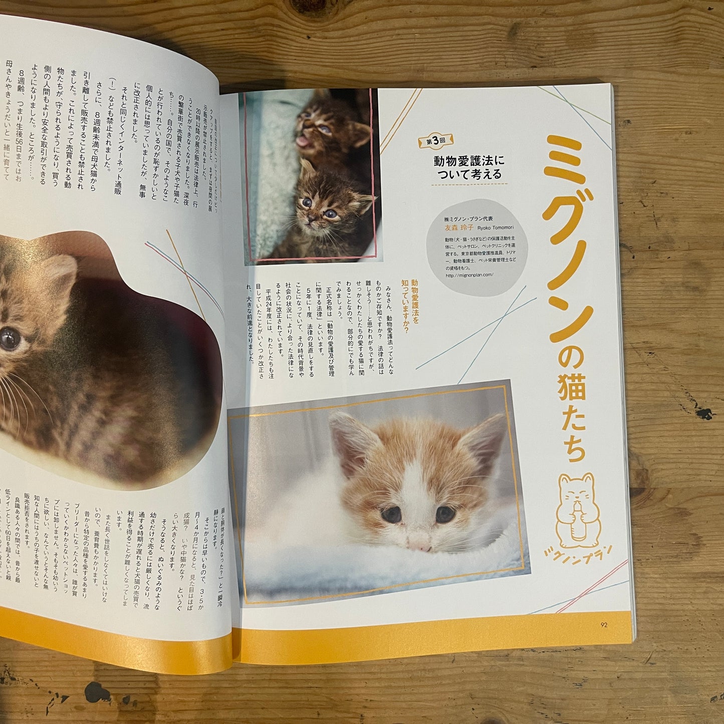 年末年始も猫、盛りだくさん! 猫ぐらし / New Year with Cats! Nekogurashi (Cat Life) Magazine