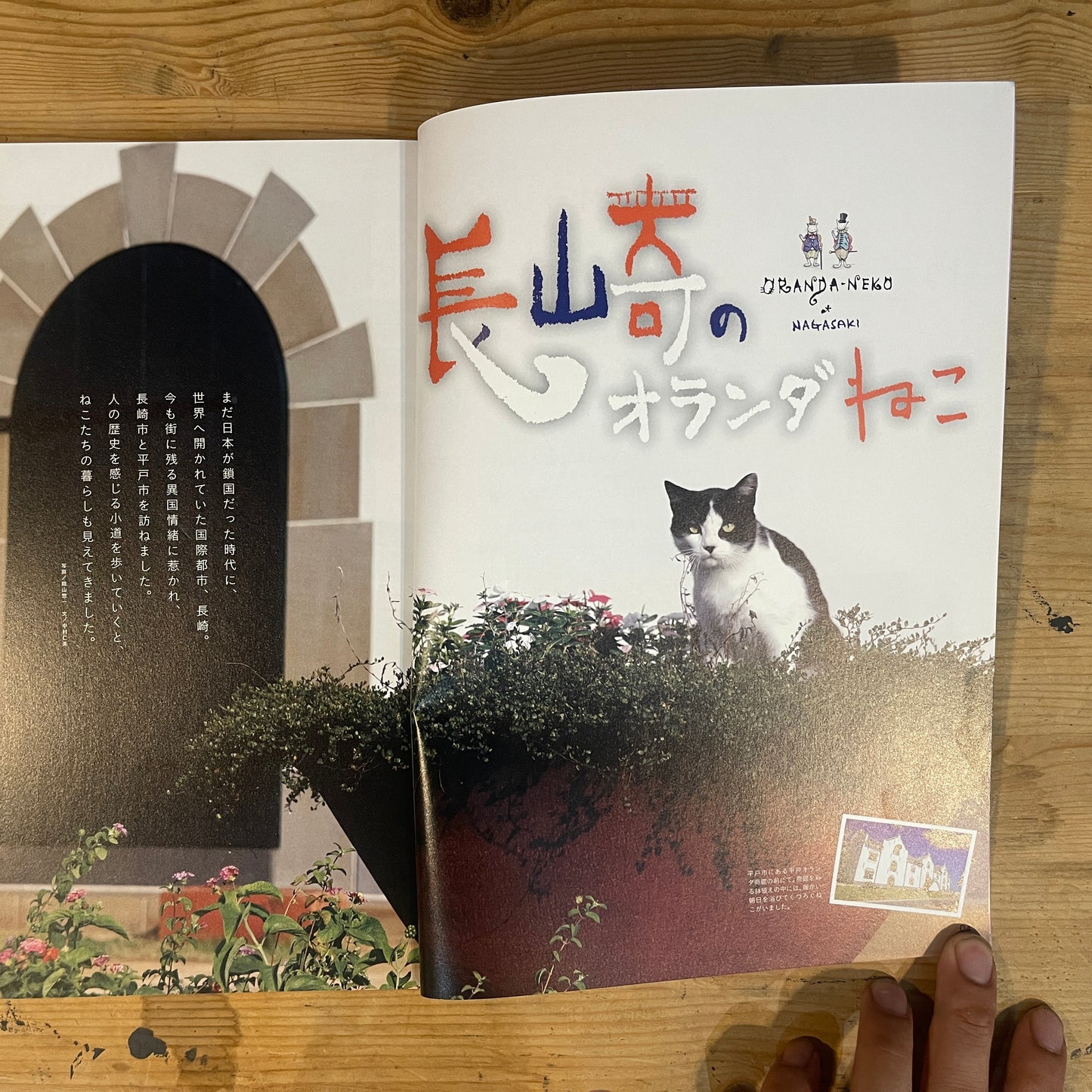 ねこ 秋号 #84 NOVEMBER/2012 長崎のオランダねこ / Nekko (Cats) Autumn 2012 #84 Nagasaki's Dutch Cats