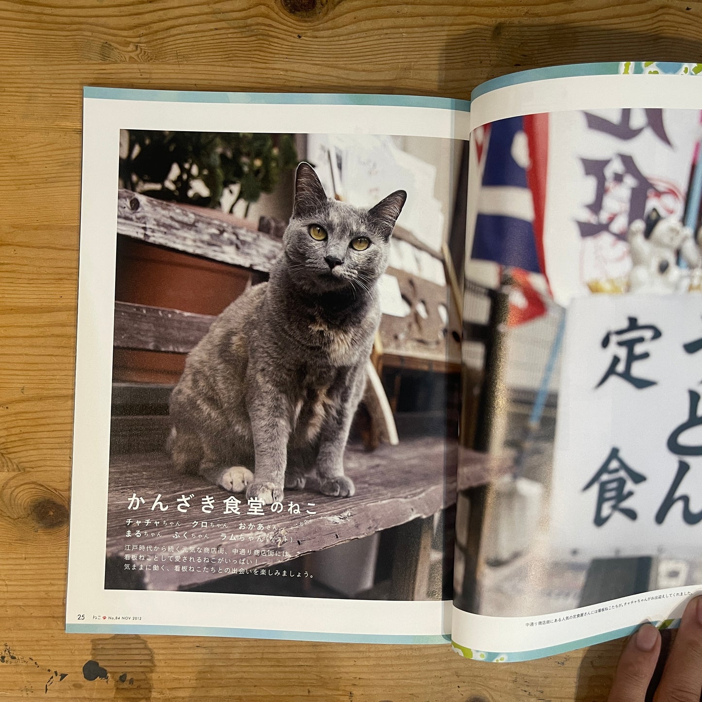 ねこ 秋号 #84 NOVEMBER/2012 長崎のオランダねこ / Nekko (Cats) Autumn 2012 #84 Nagasaki's Dutch Cats