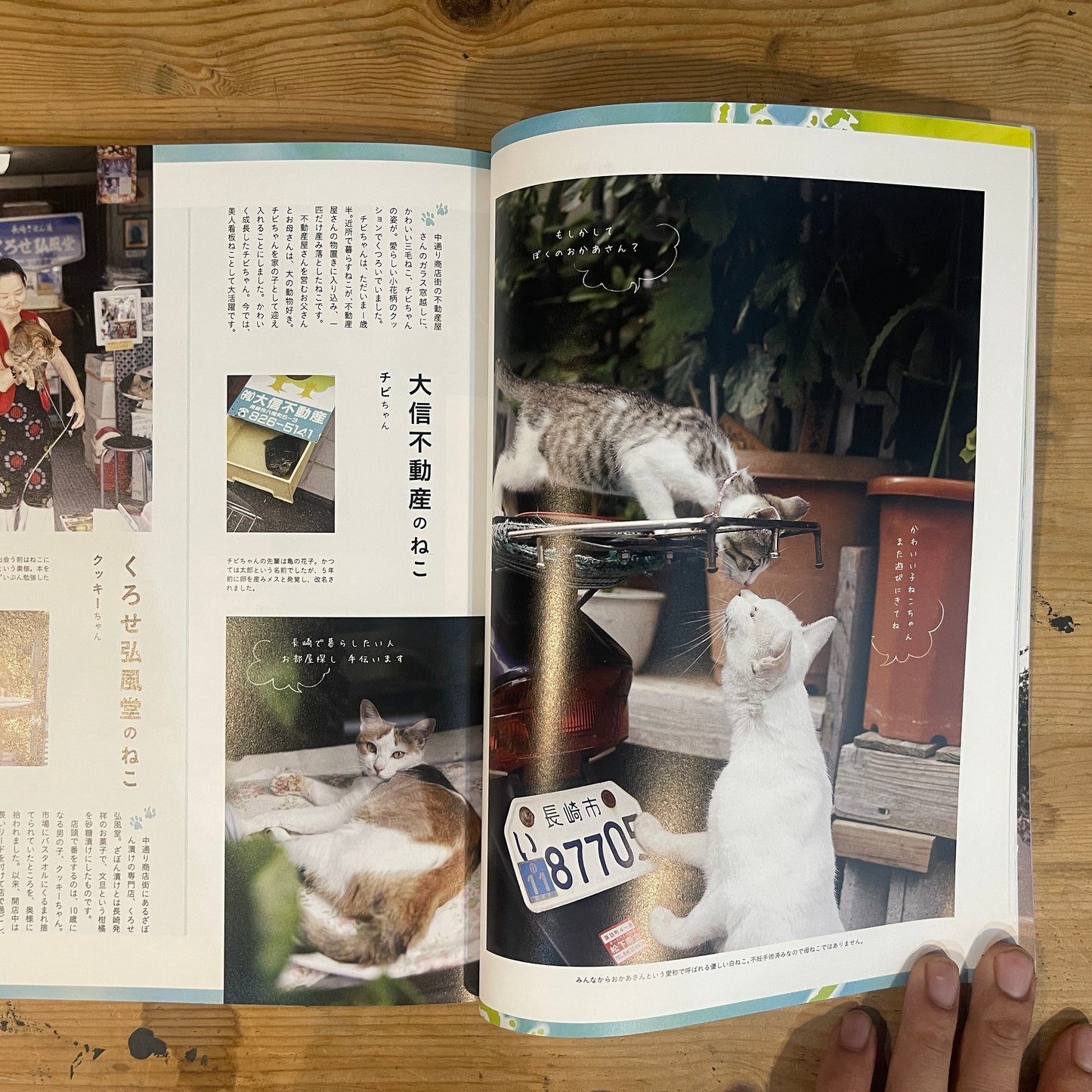 ねこ 秋号 #84 NOVEMBER/2012 長崎のオランダねこ / Nekko (Cats) Autumn 2012 #84 Nagasaki's Dutch Cats