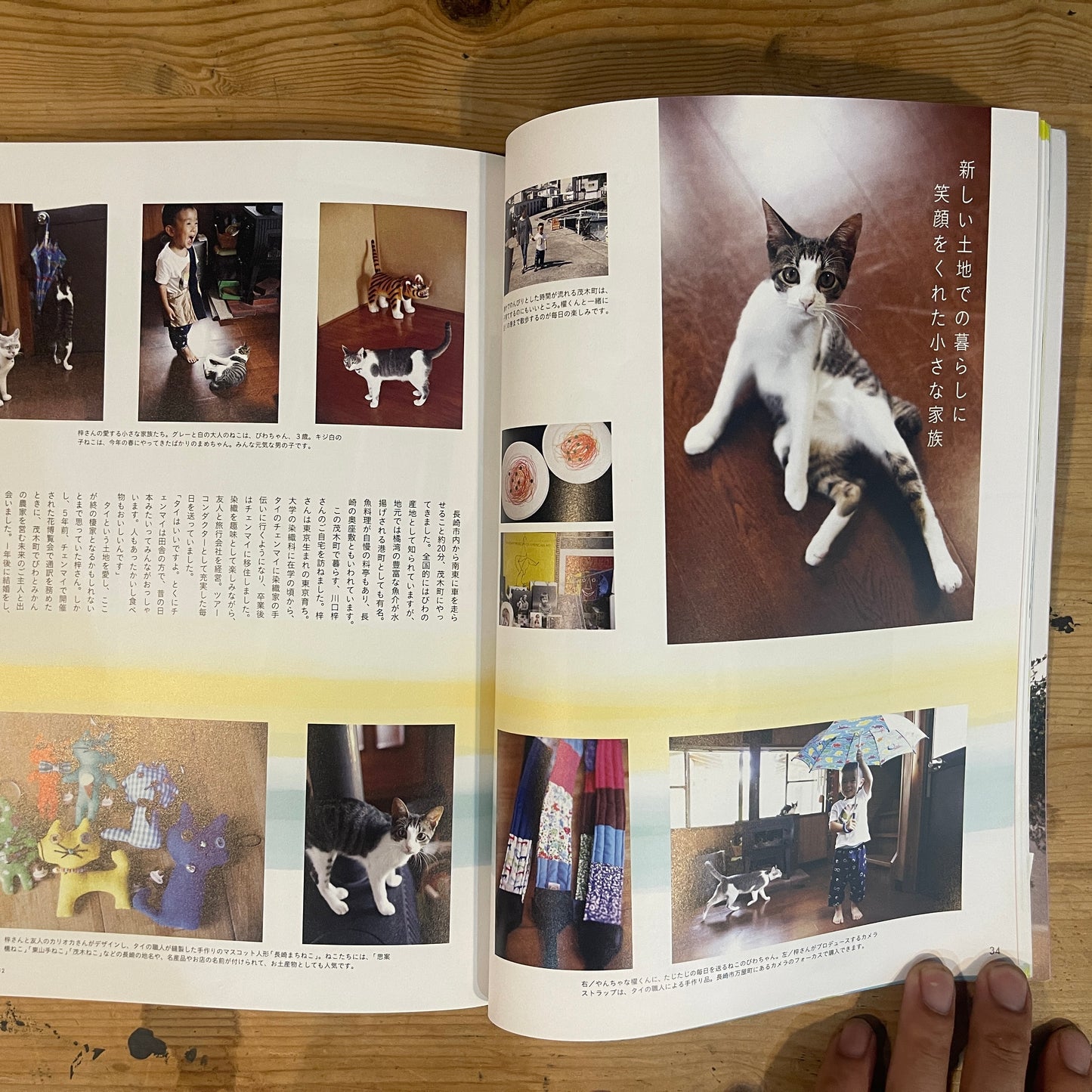 ねこ 秋号 #84 NOVEMBER/2012 長崎のオランダねこ / Nekko (Cats) Autumn 2012 #84 Nagasaki's Dutch Cats