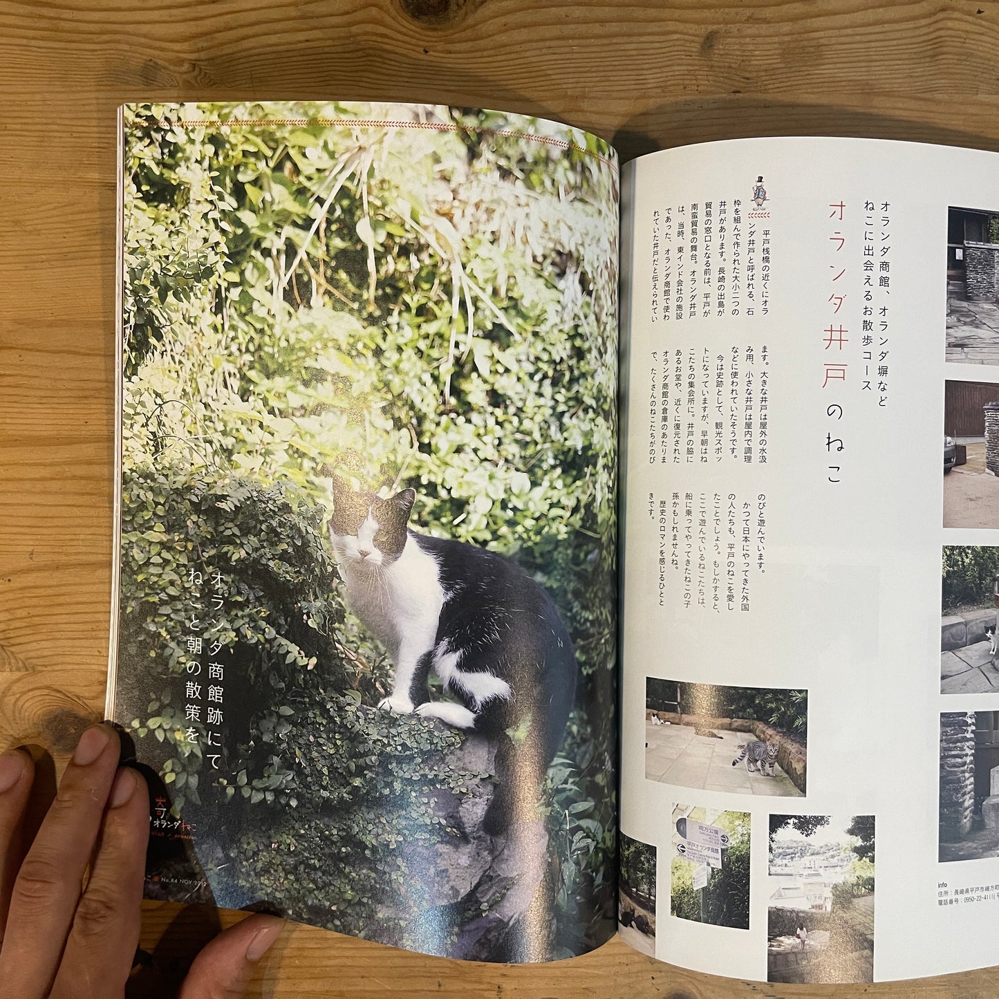 ねこ 秋号 #84 NOVEMBER/2012 長崎のオランダねこ / Nekko (Cats) Autumn 2012 #84 Nagasaki's Dutch Cats