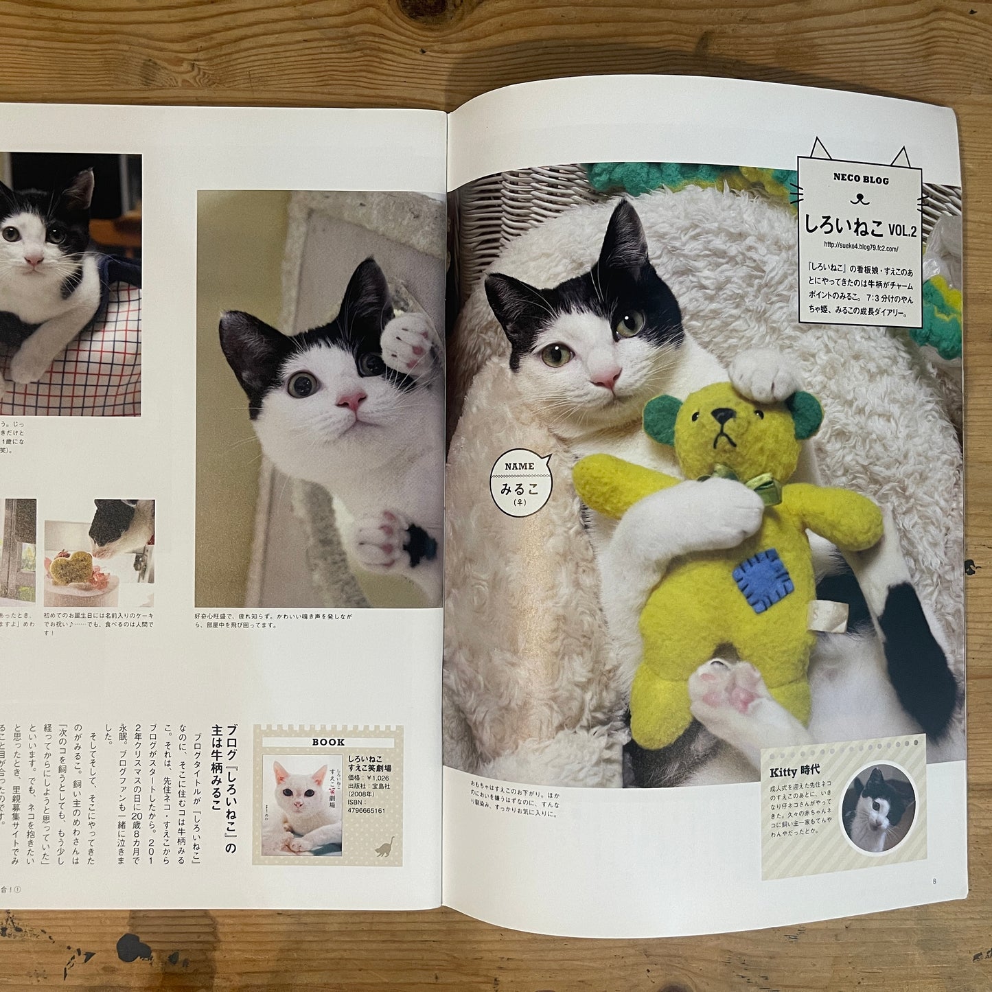 いちばんやさしい ネコの気持ちがわかる本 / The Easiest Guide to Understanding Your Cat