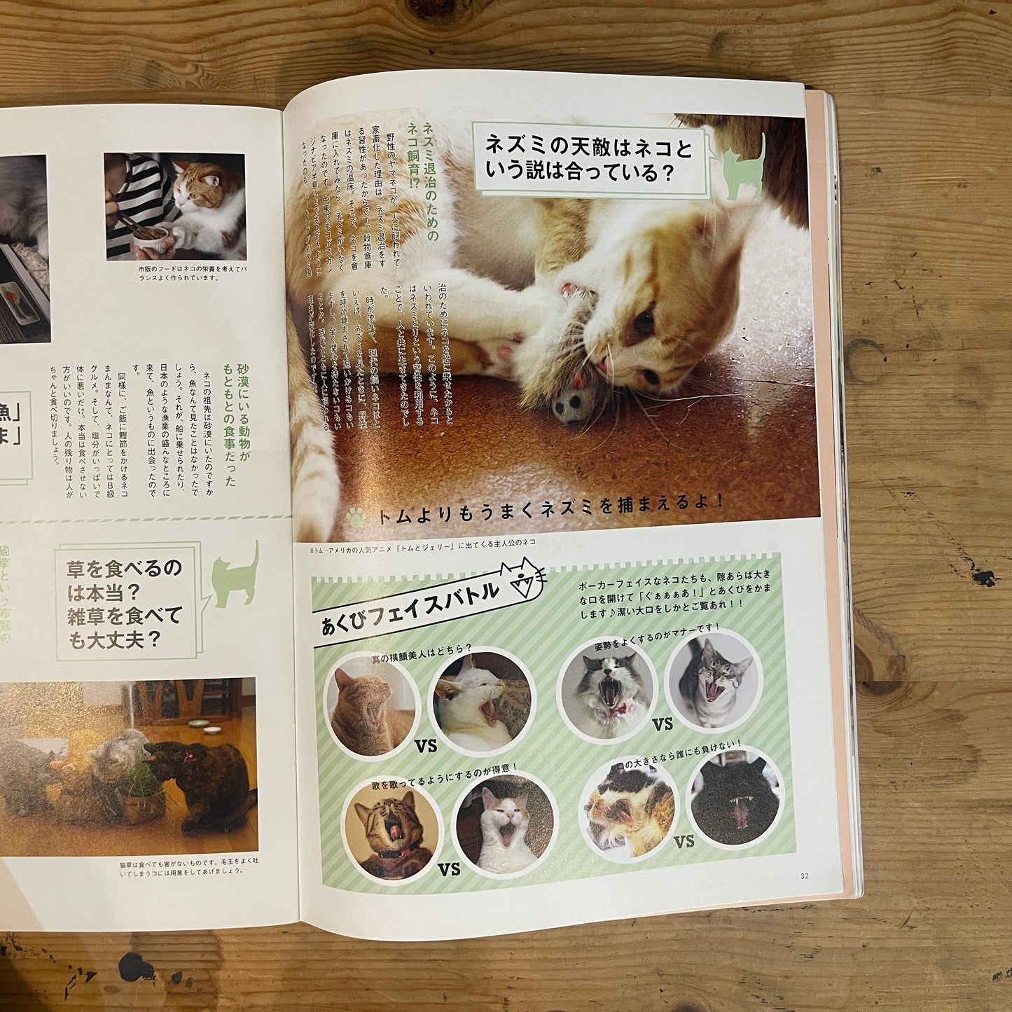 いちばんやさしい ネコの気持ちがわかる本 / The Easiest Guide to Understanding Your Cat