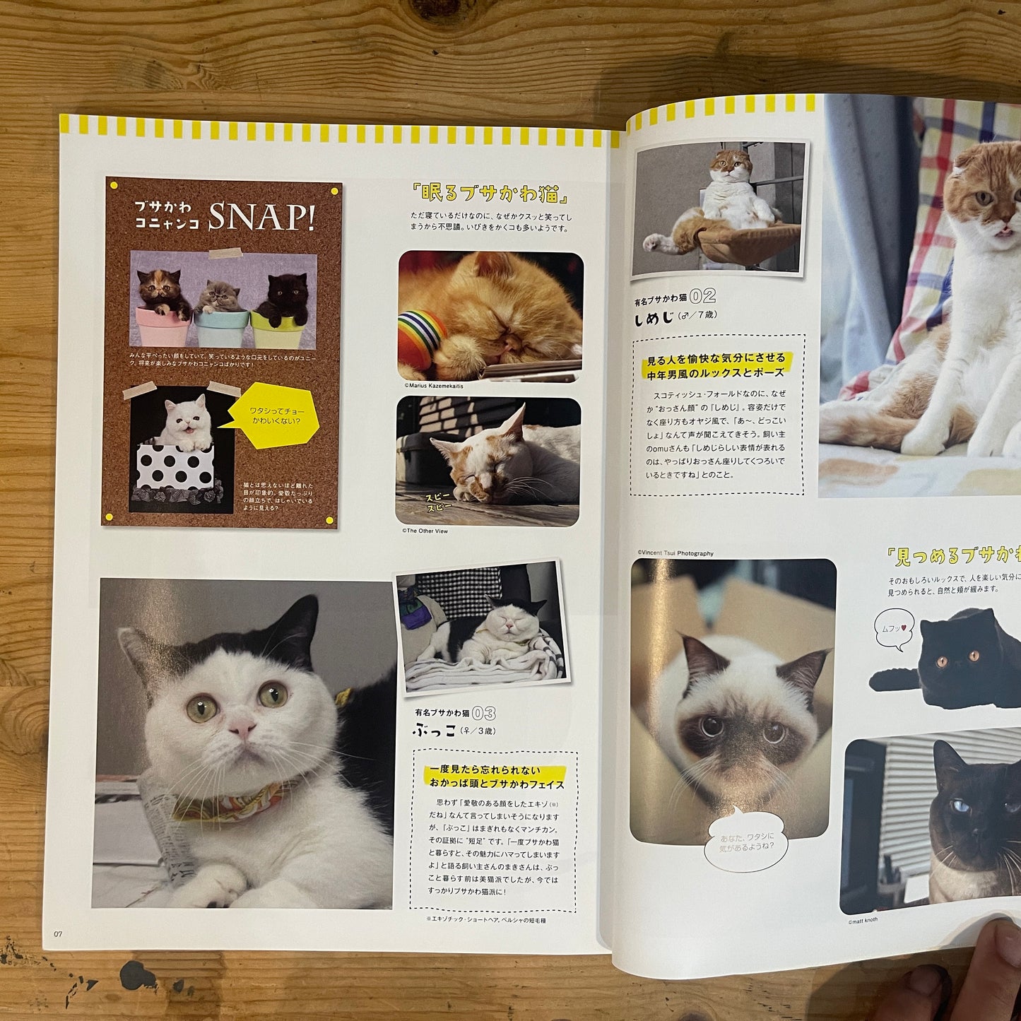 ねこねたvol.4 鎌倉・江ノ島 ぶらりねこ巡り / Nekoneta Vol.4 Kamakura & Enoshima Cat Stroll