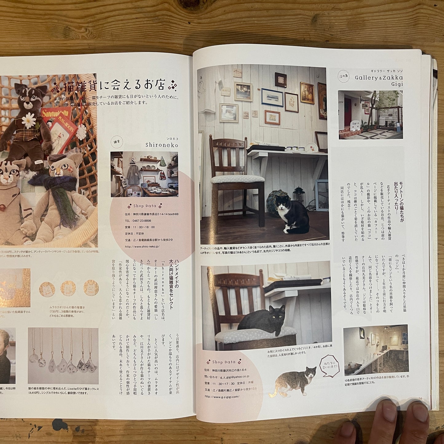 ねこねたvol.4 鎌倉・江ノ島 ぶらりねこ巡り / Nekoneta Vol.4 Kamakura & Enoshima Cat Stroll