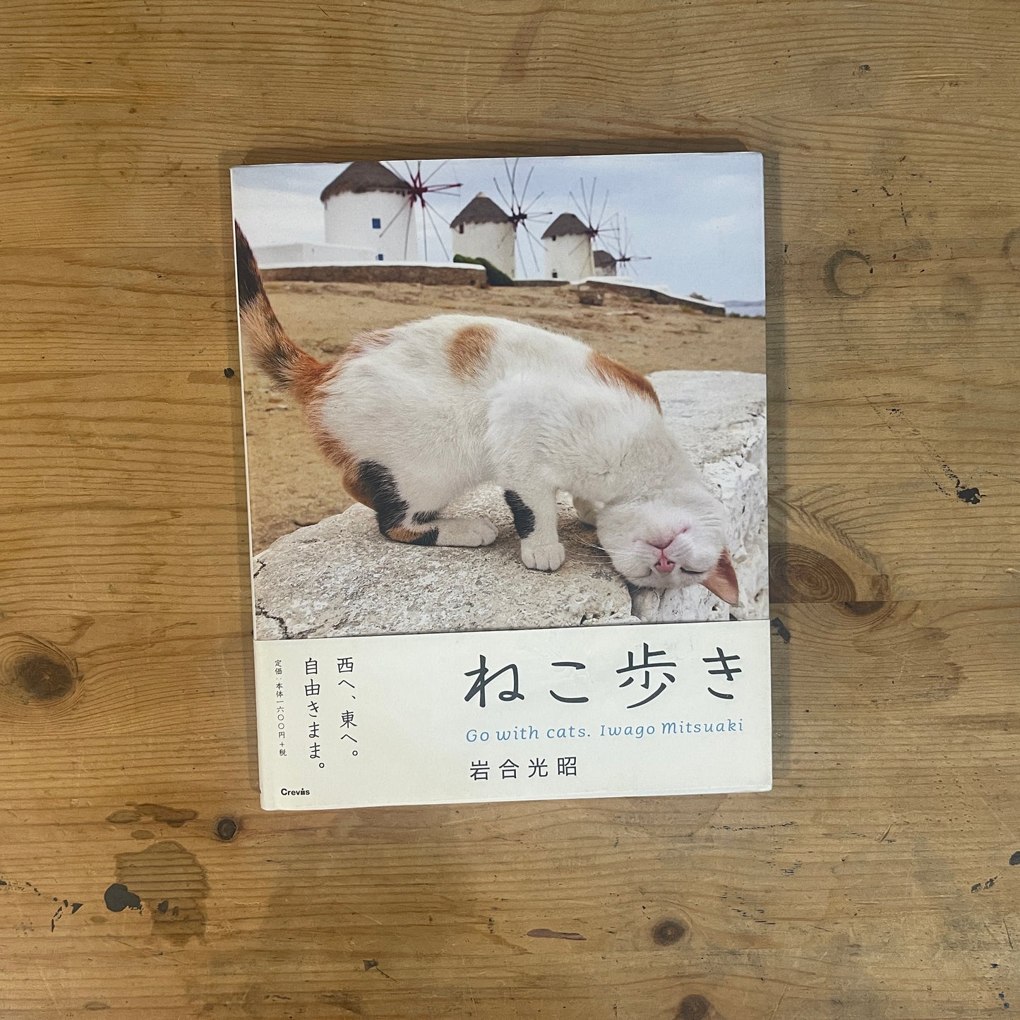 ねこ歩き 西へ、東へ。 / Mitsuaki Iwago's Cat Walk: To the West, To the East.
