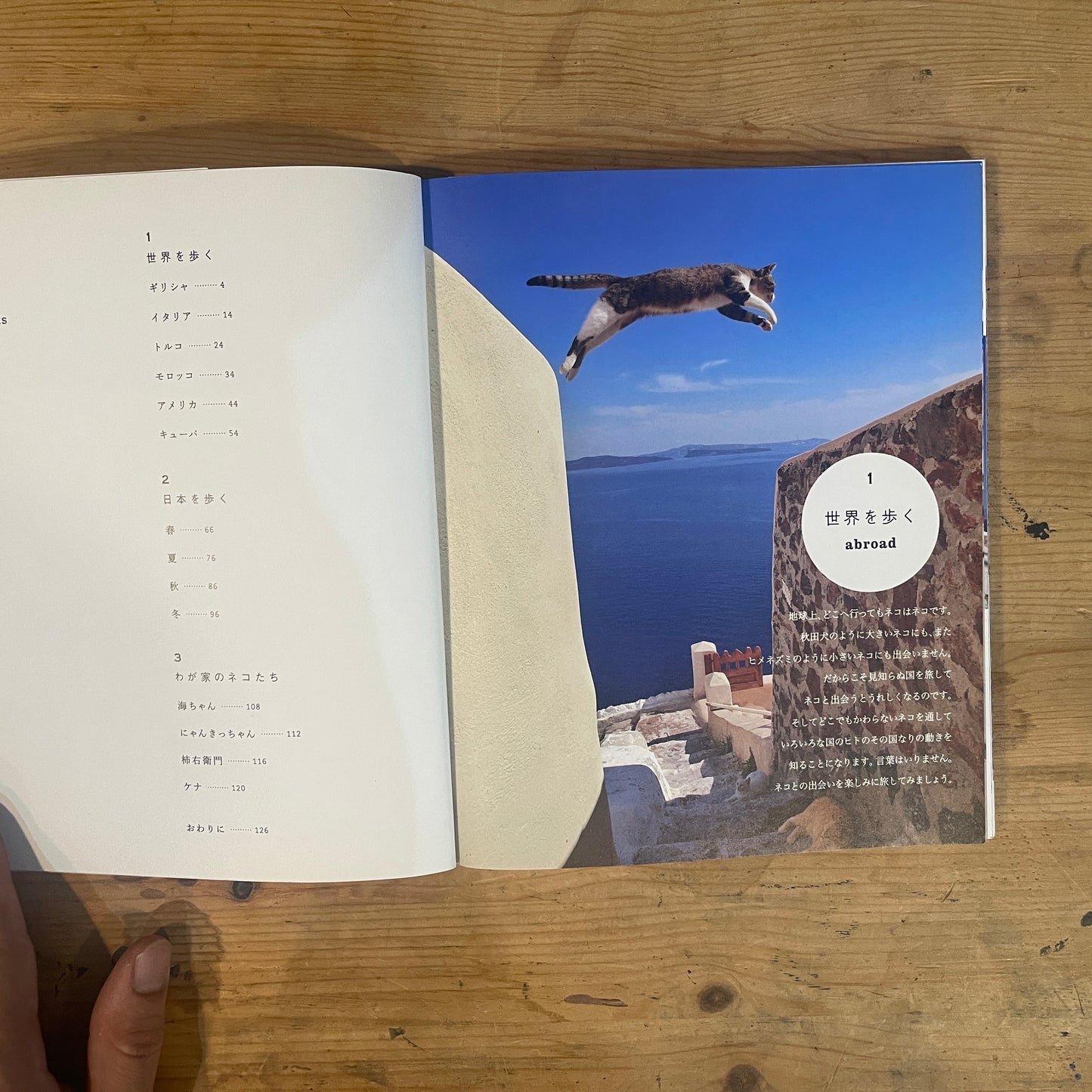 ねこ歩き 西へ、東へ。 / Mitsuaki Iwago's Cat Walk: To the West, To the East.