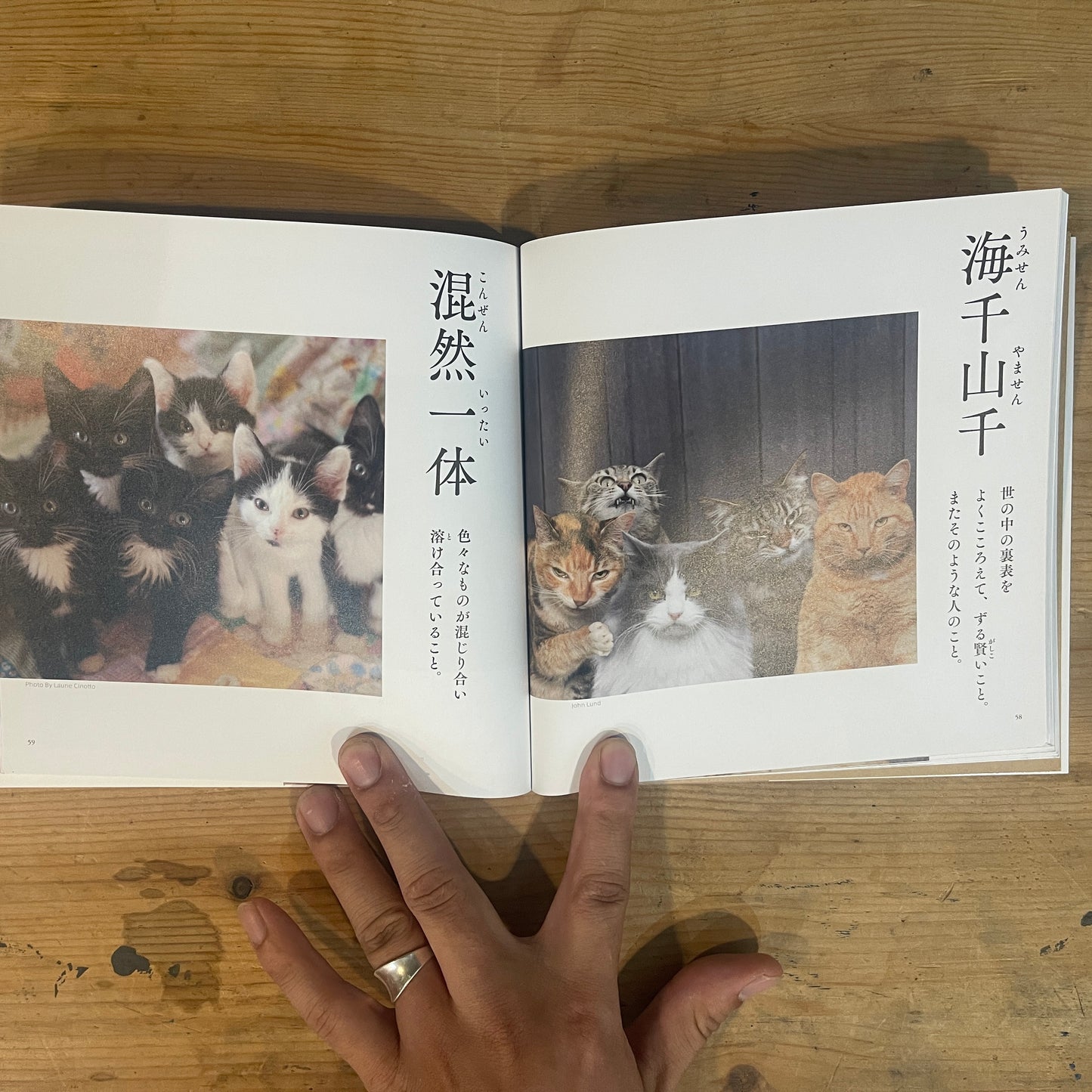 にゃんこ四字熟語辞典 / Nyanko Idiom Dictionary