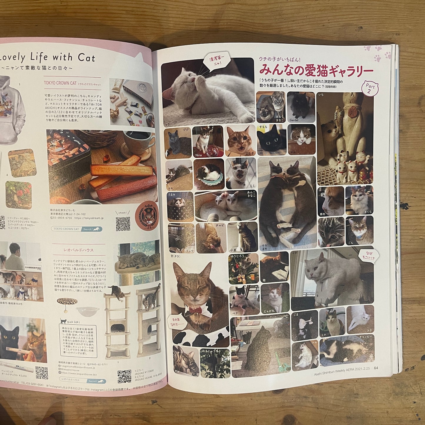 NyAERA2021 ニャエラ 人生を変えた猫 / NyAERA 2021: The Cats Who Changed Our Lives