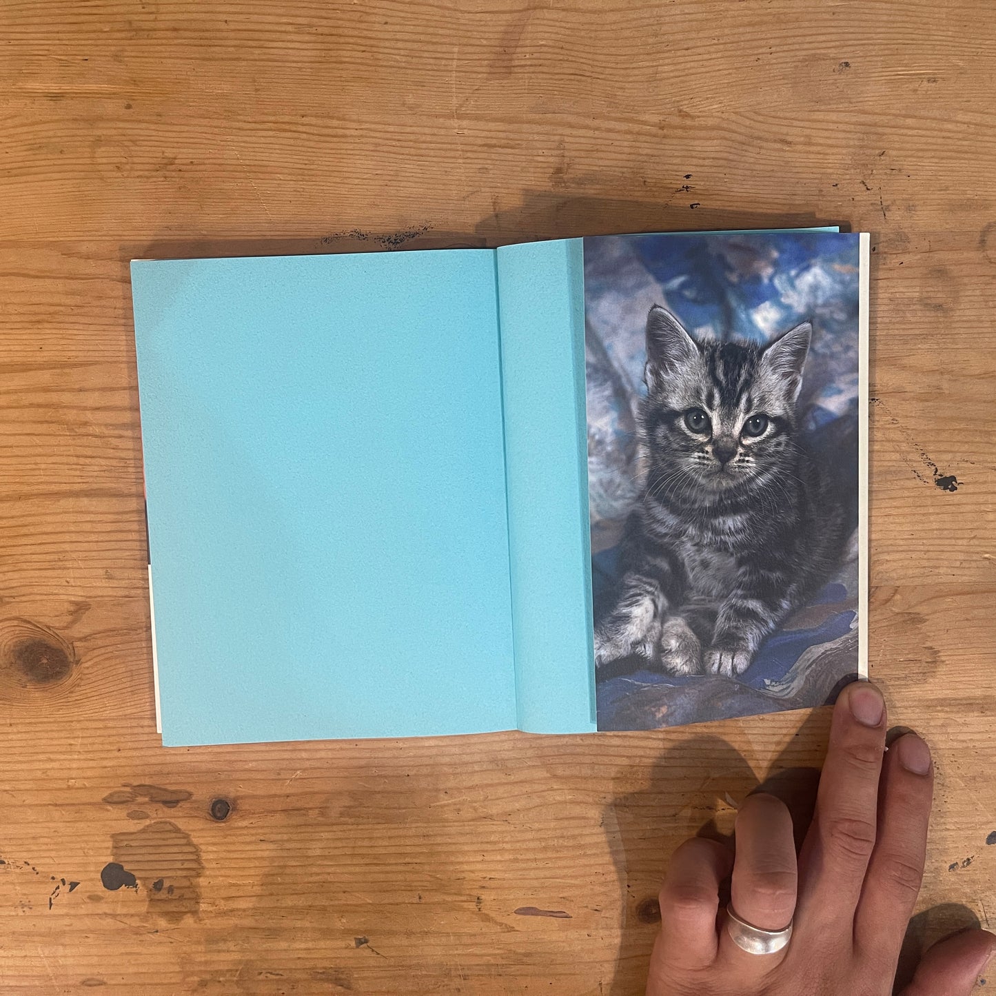 化け猫のつくり方 / How to Make a Bakeneko