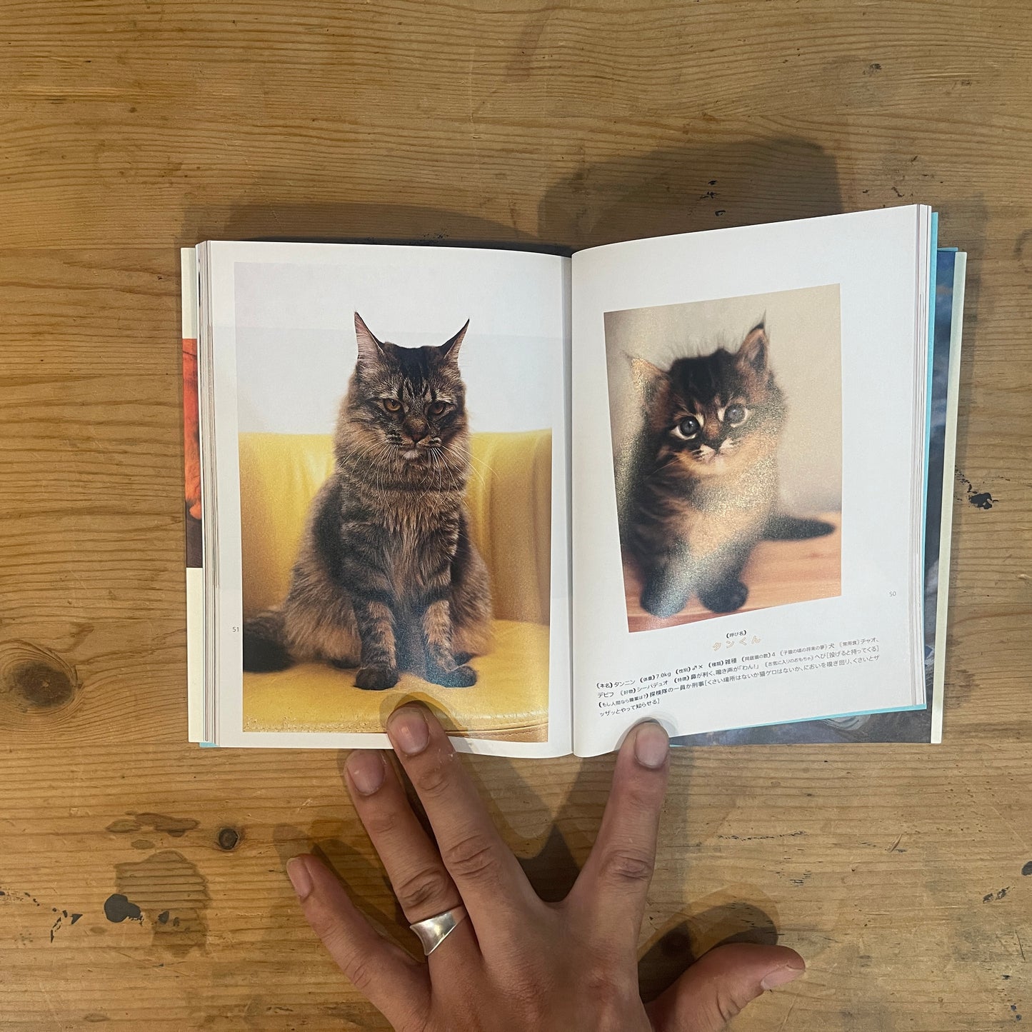 化け猫のつくり方 / How to Make a Bakeneko