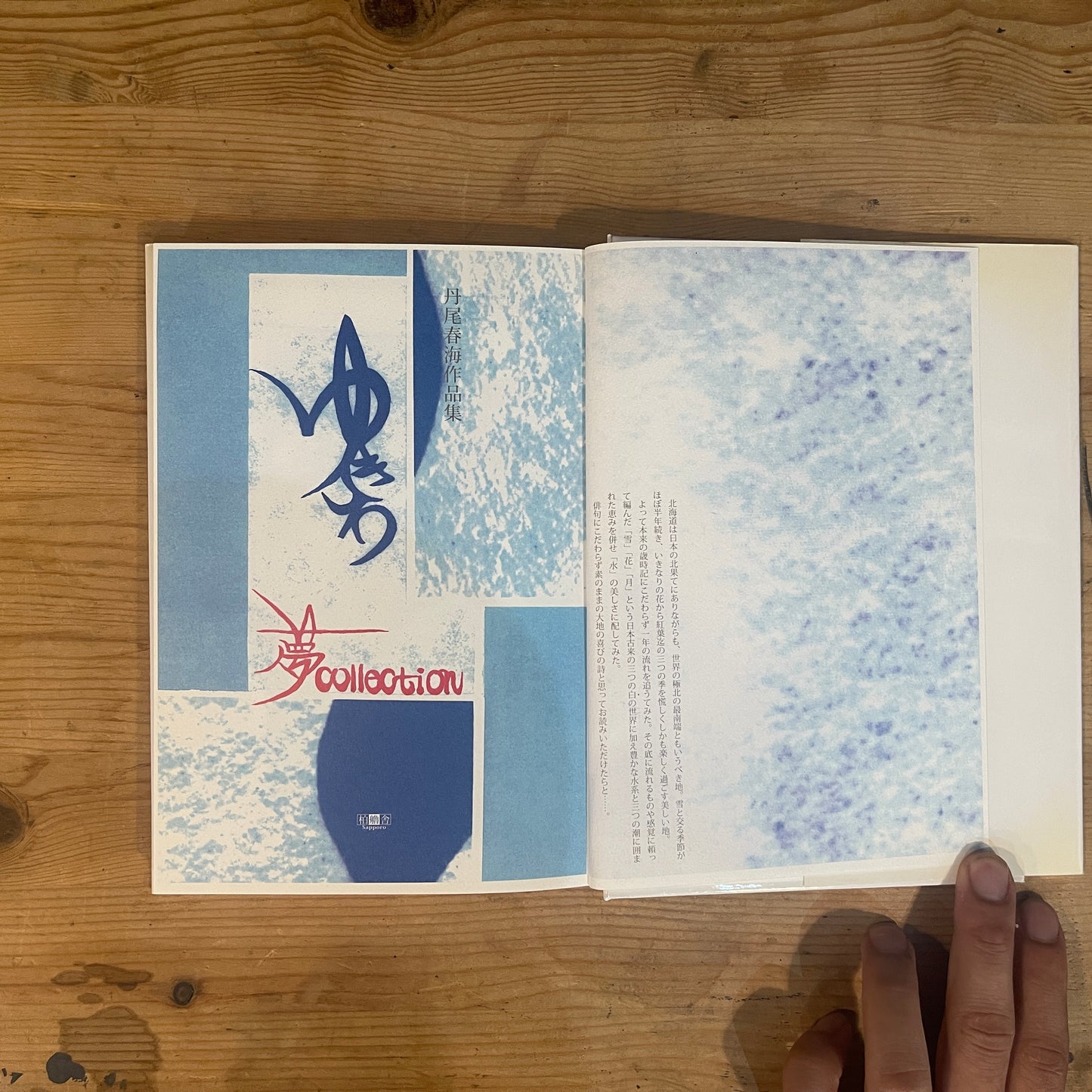 夢collection ゆきわ 丹尾春海作品集 抒情詩北海道 / Yume Collection: Yukiwa - Harumi Nio Art Book: Lyrical Poems of Hokkaido