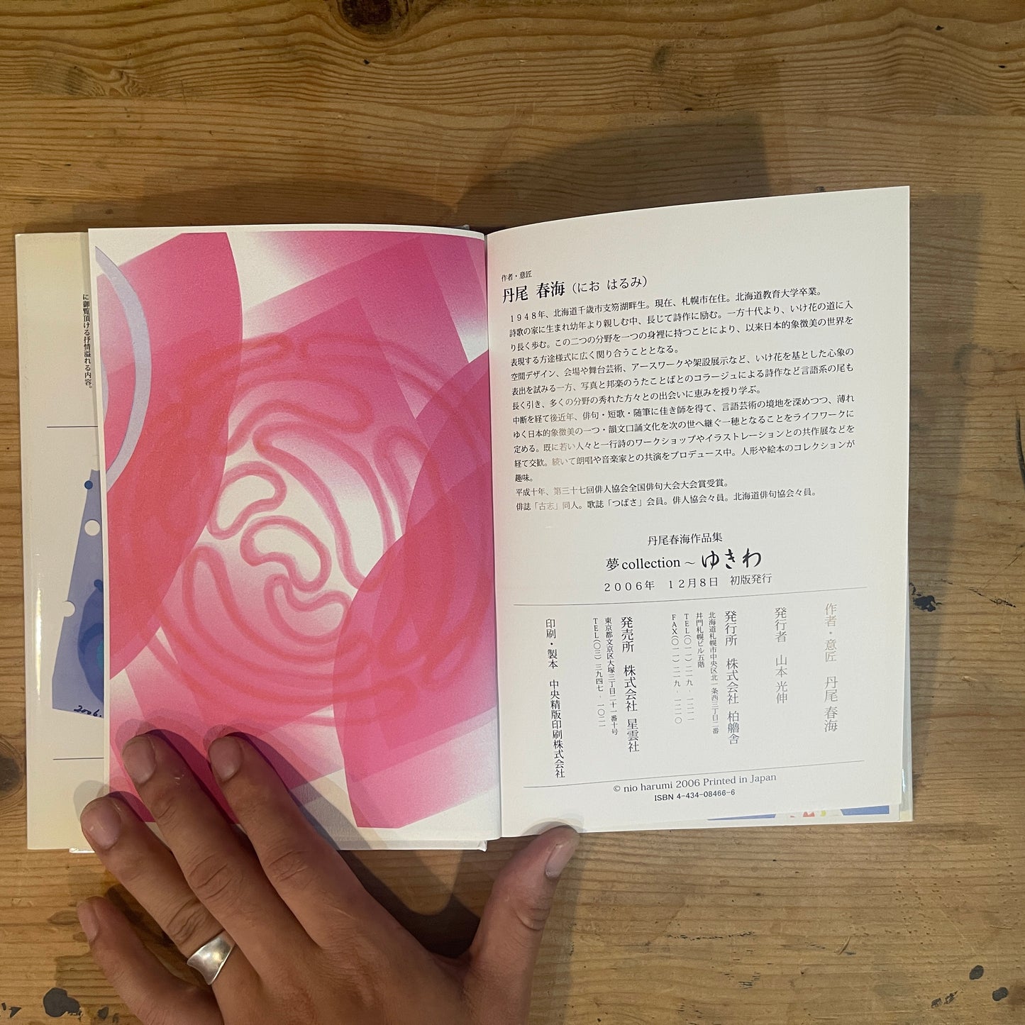 夢collection ゆきわ 丹尾春海作品集 抒情詩北海道 / Yume Collection: Yukiwa - Harumi Nio Art Book: Lyrical Poems of Hokkaido