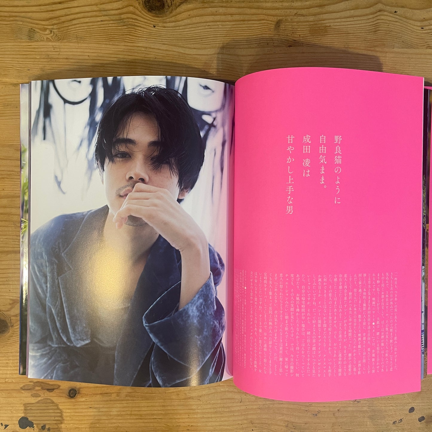 蜷川実花写真集 悪い男 / Mika Ninagawa Photobook: Bad Boys