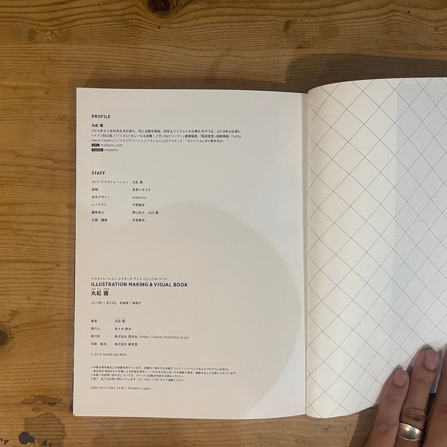 illustration making & visual book 丸紅茜 / Illustration Making & Visual Book: Akane Marubeni