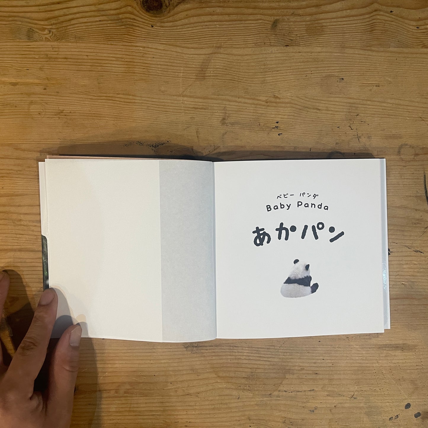 baby panda あかパン パンダの赤ちゃん写真集 / baby panda: A Photobook of Baby Pandas