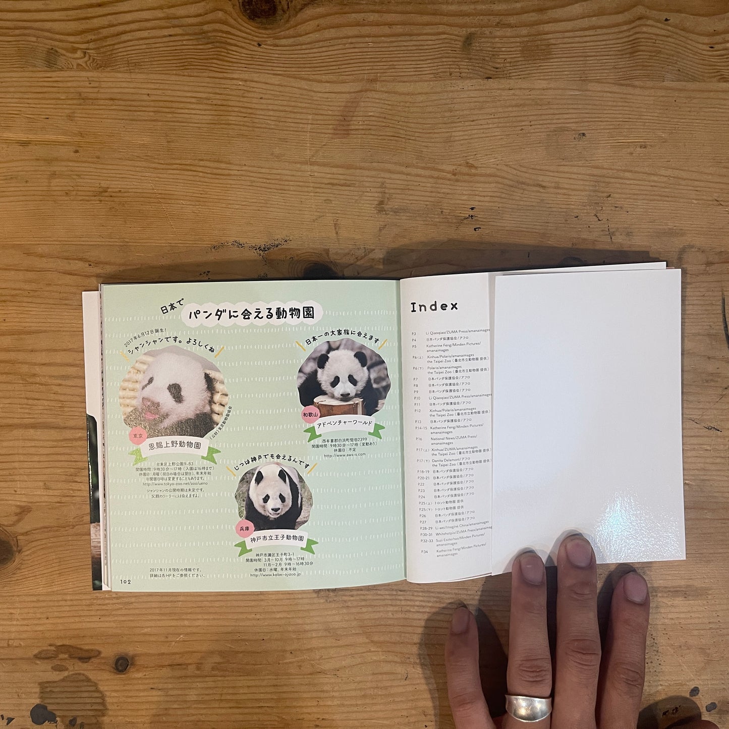 baby panda あかパン パンダの赤ちゃん写真集 / baby panda: A Photobook of Baby Pandas