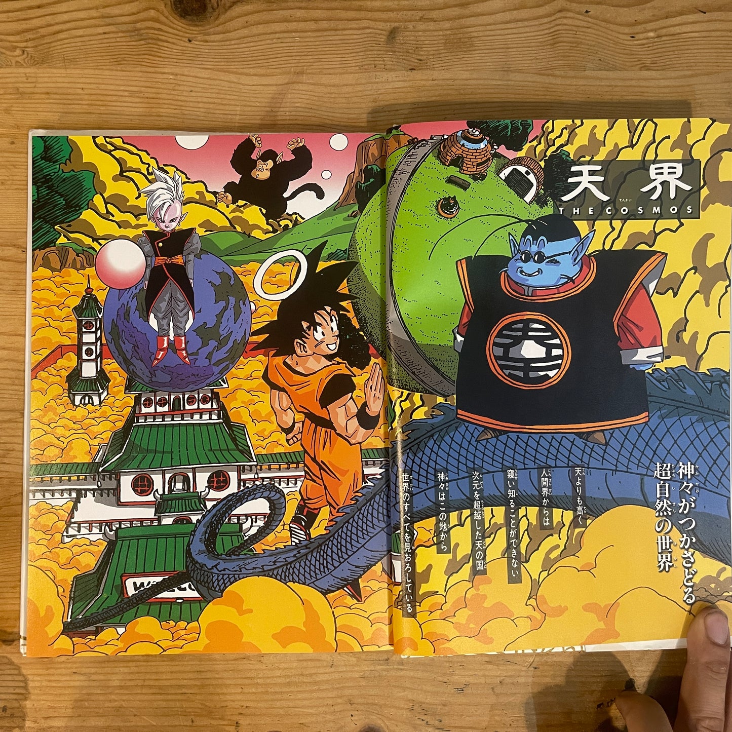 鳥山明ワールド DRAGON BALL 大全集 4 WORLD GUIDE / Akira Toriyama World: Dragon Ball Daizenshuu 4 WORLD GUIDE