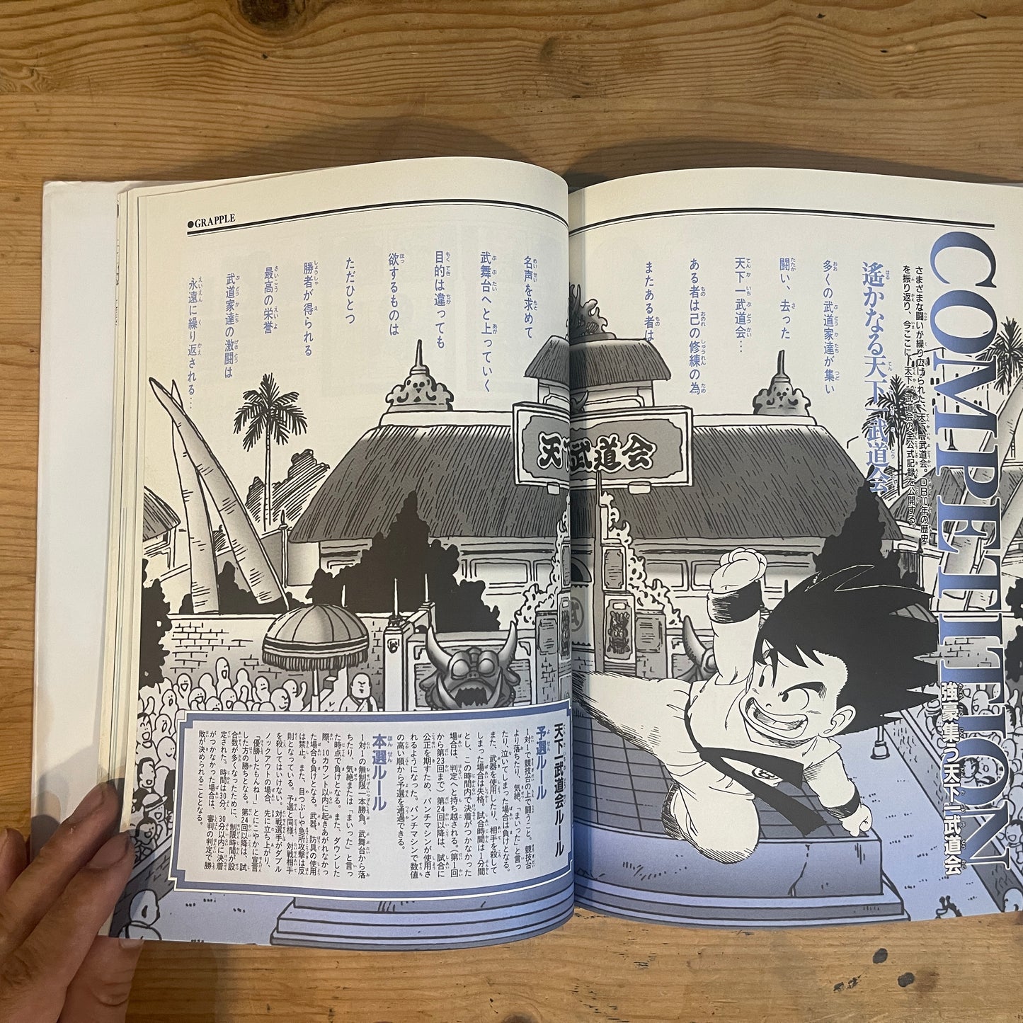鳥山明ワールド DRAGON BALL 大全集 4 WORLD GUIDE / Akira Toriyama World: Dragon Ball Daizenshuu 4 WORLD GUIDE
