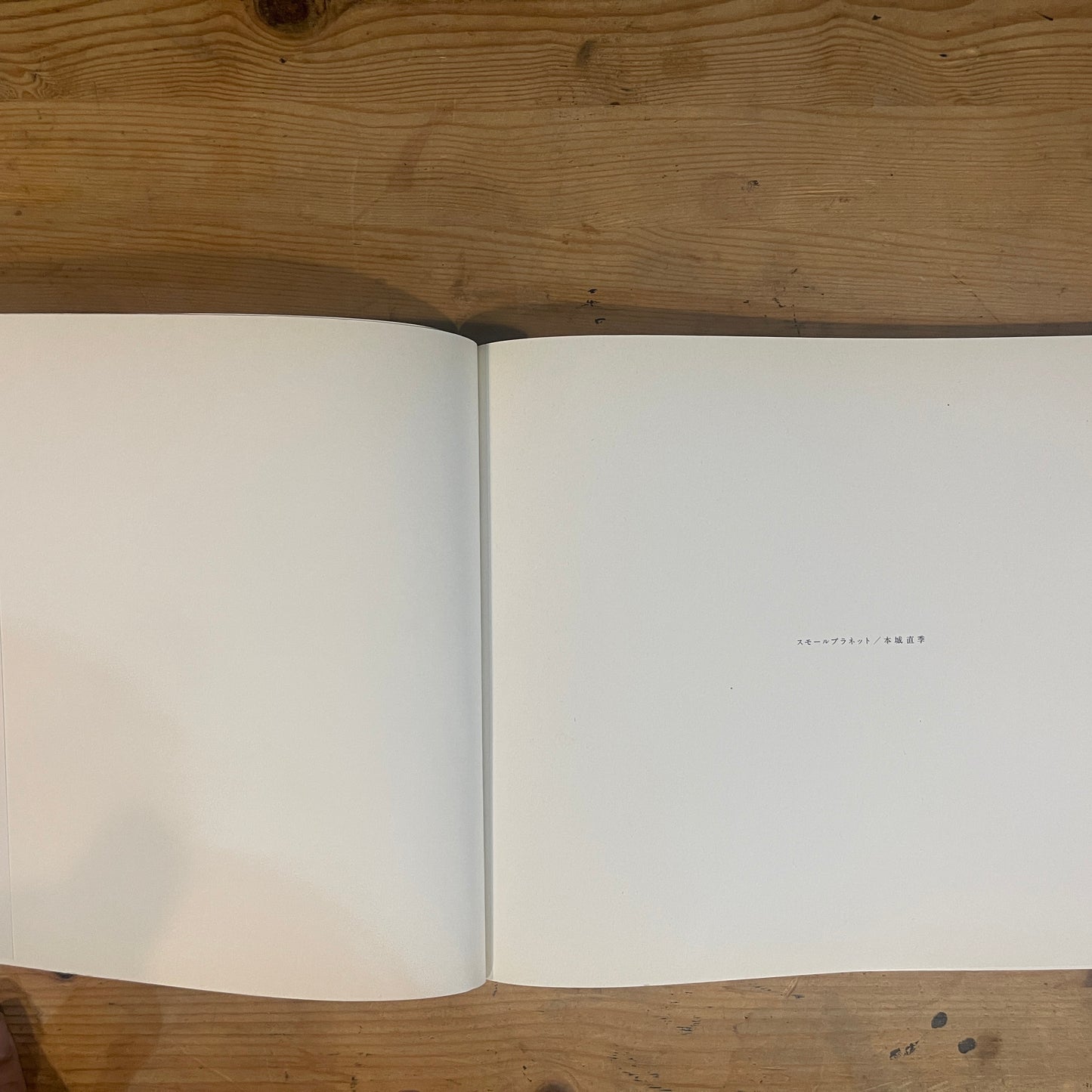 スモールプラネット 本城直季 写真集 / Small Planet: Naoki Honjo Photobook