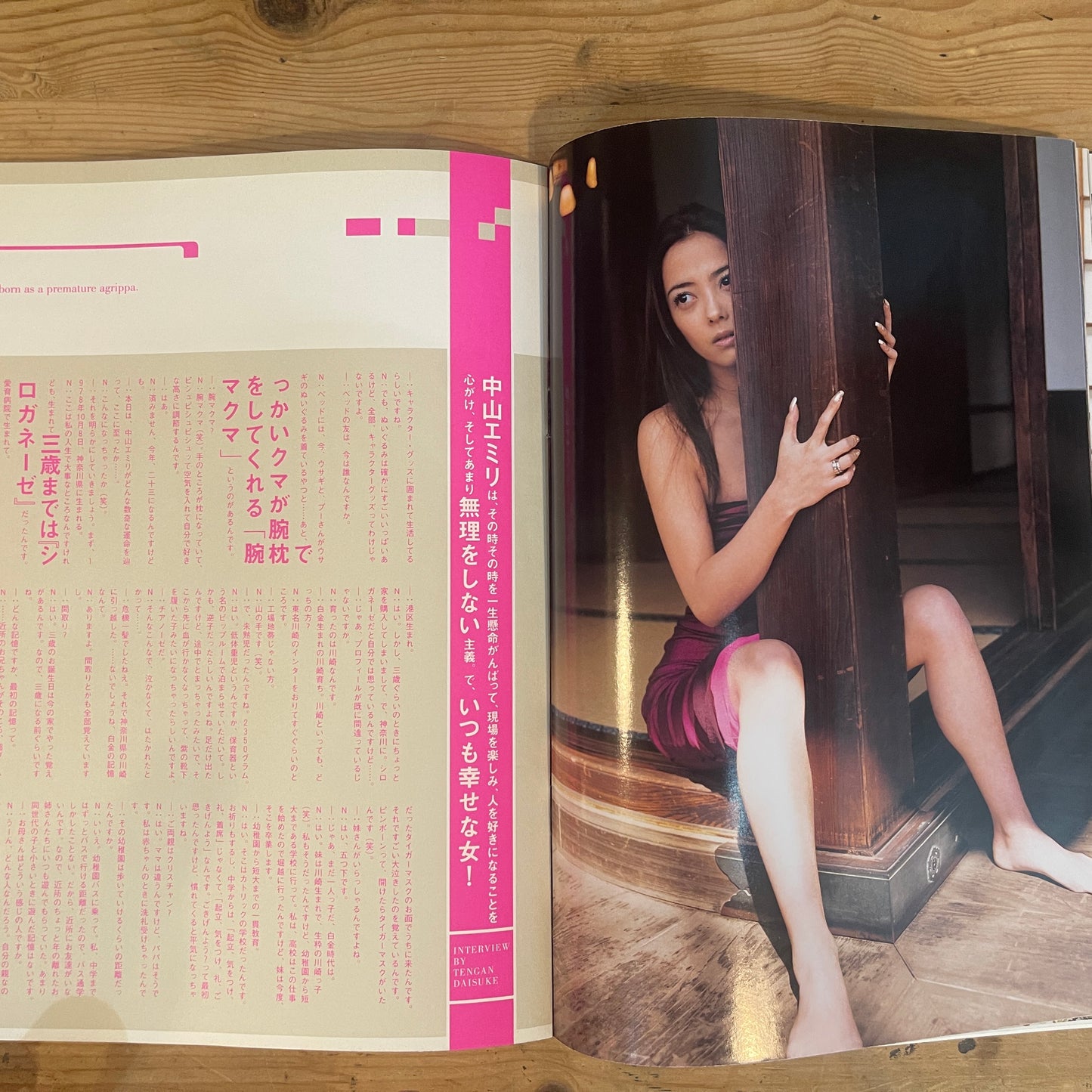 月刊中山エミリ / Gekkan Emiri Nakayama Photobook