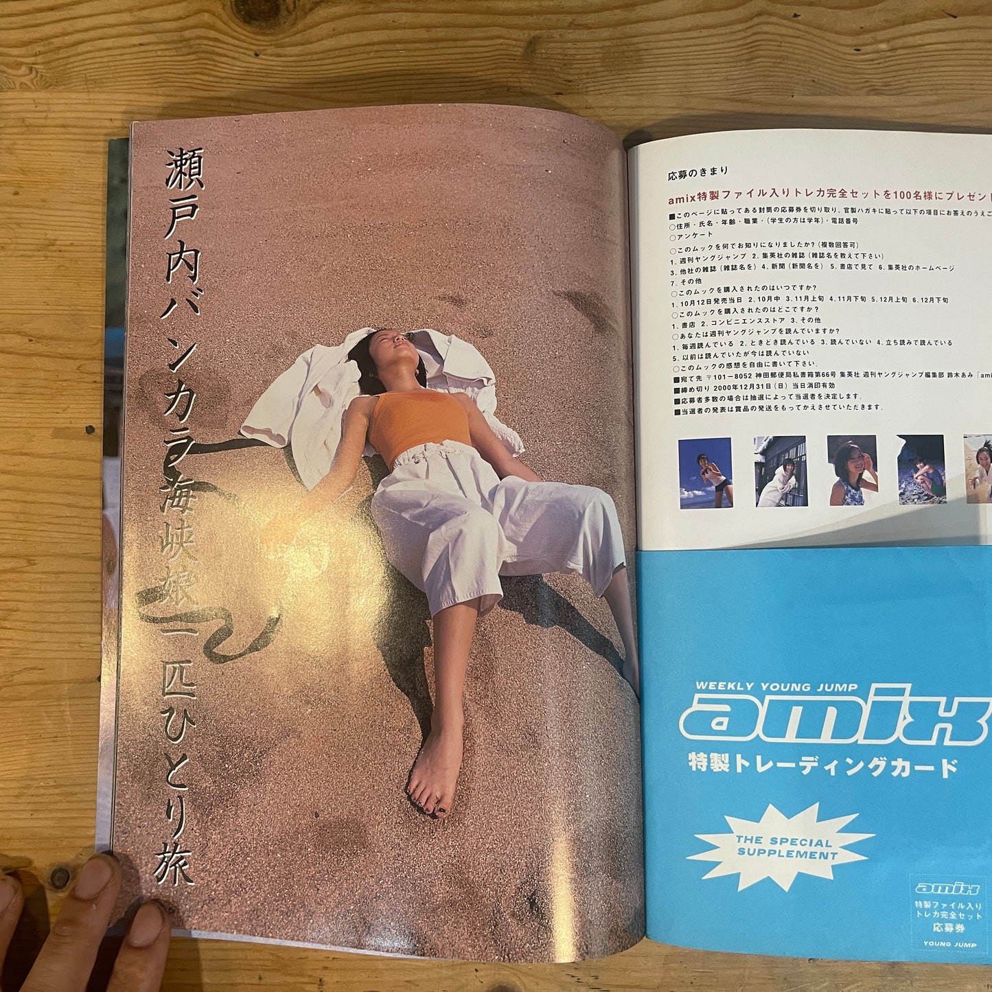 amix SHUEISHA MOOK 鈴木あみ最強ムック / amix SHUEISHA MOOK: The Definitive Ami Suzuki Book