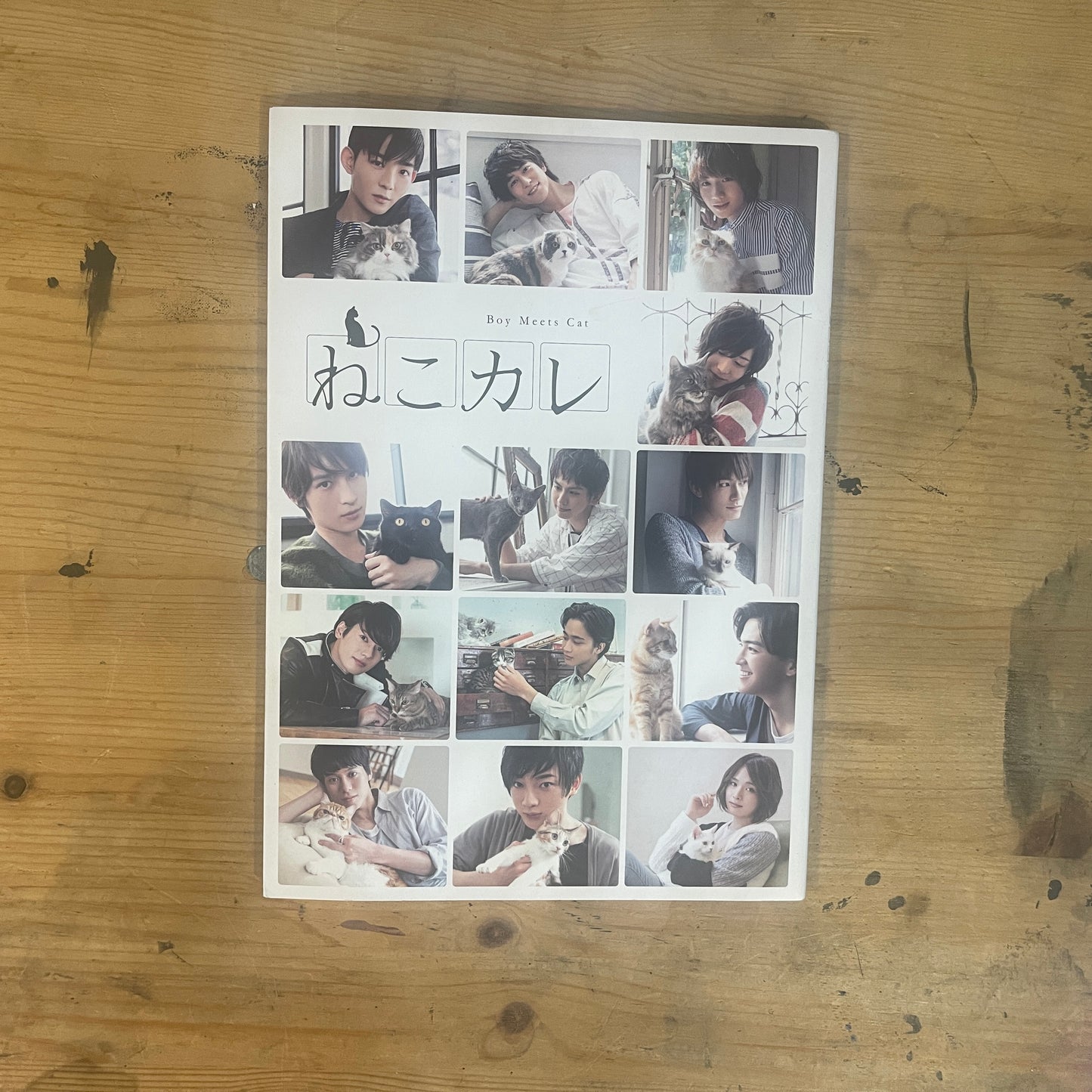 ねこカレ BOY Meets Cat / Neko Kare: BOY Meets Cat