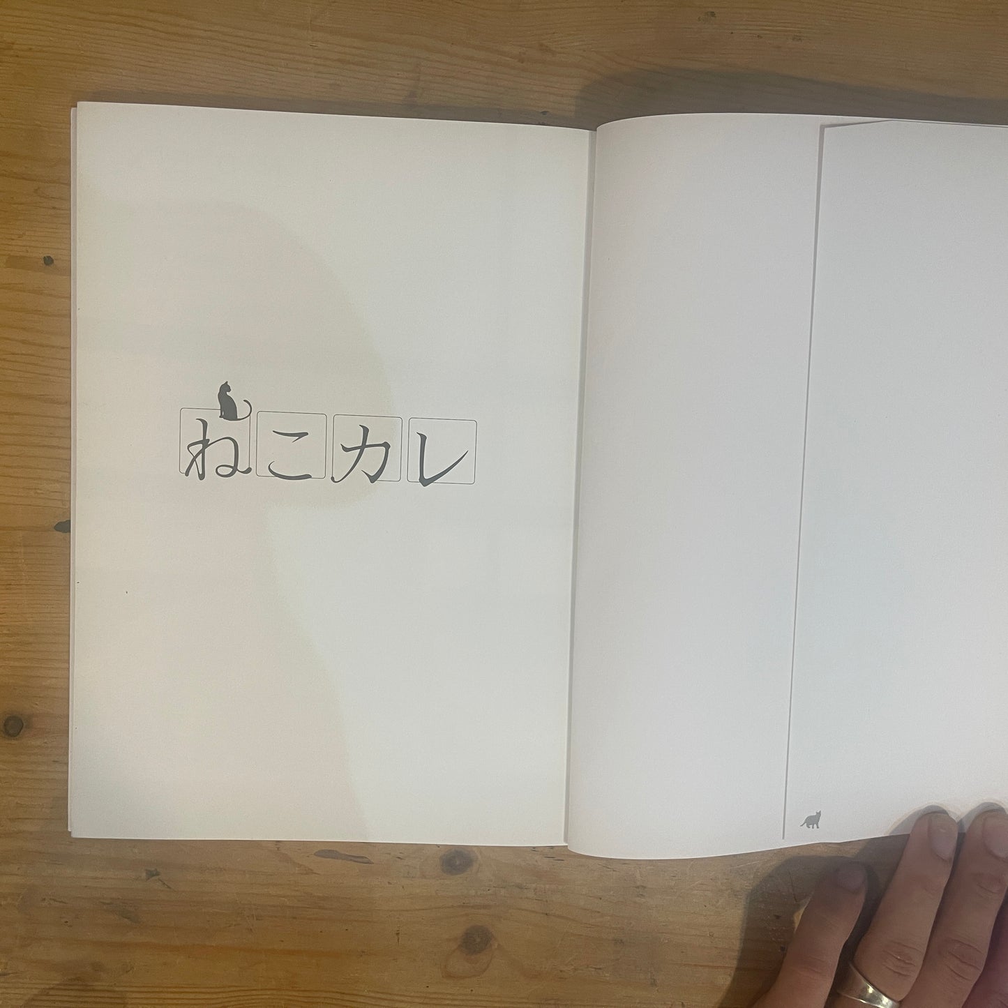ねこカレ BOY Meets Cat / Neko Kare: BOY Meets Cat