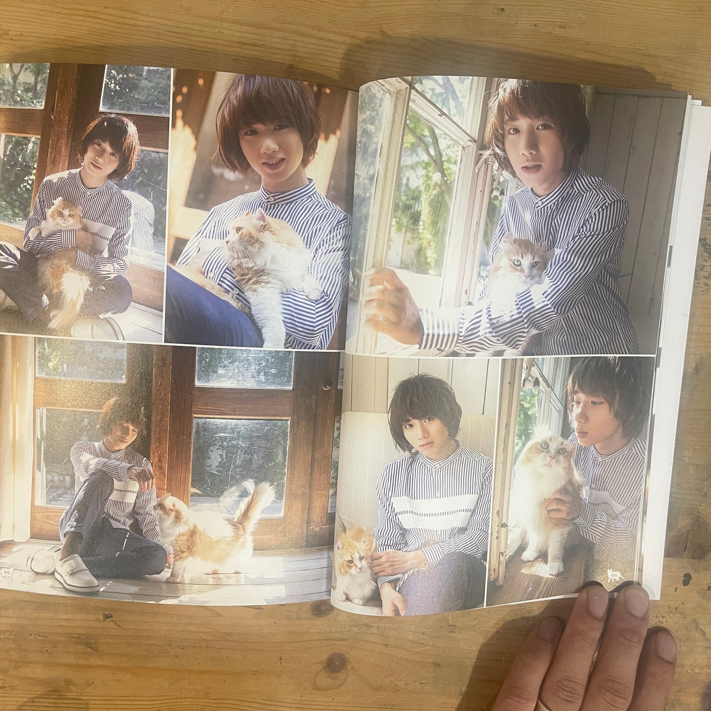 ねこカレ BOY Meets Cat / Neko Kare: BOY Meets Cat