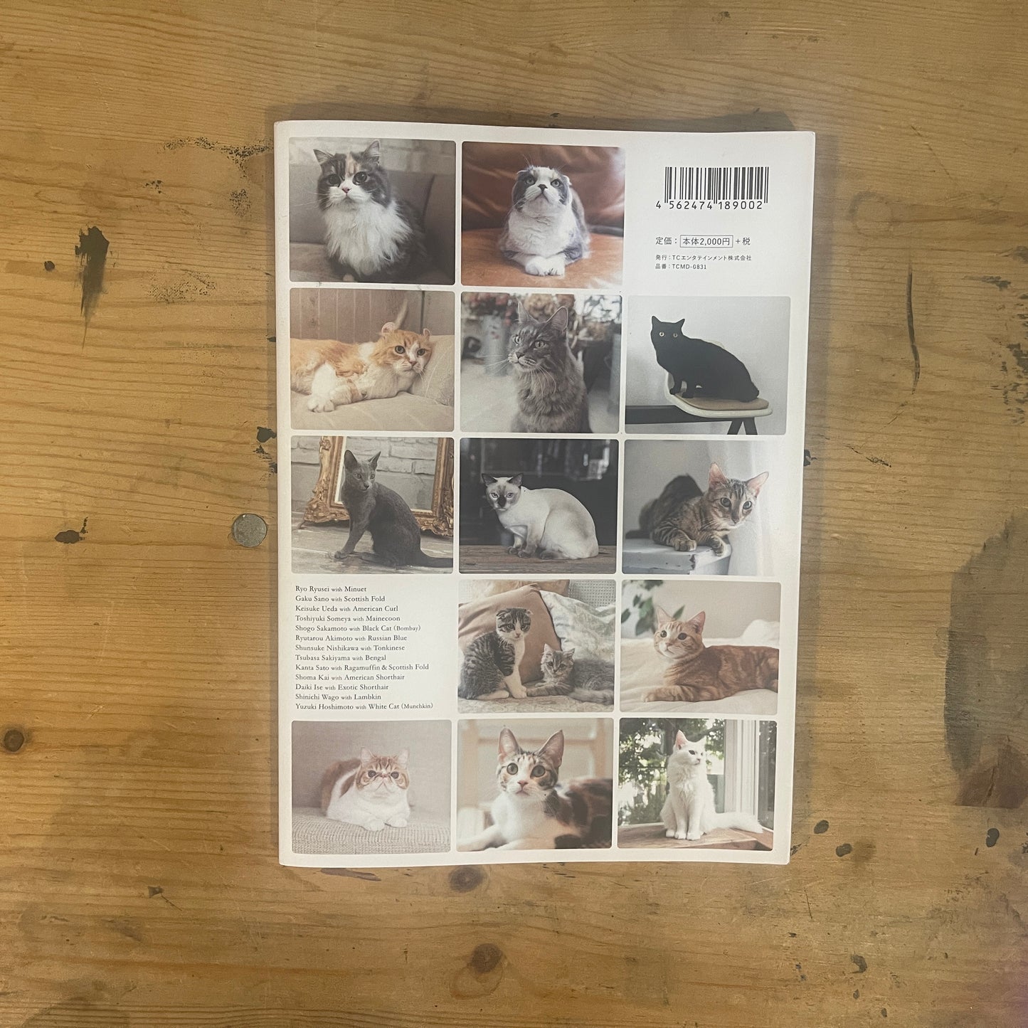 ねこカレ BOY Meets Cat / Neko Kare: BOY Meets Cat