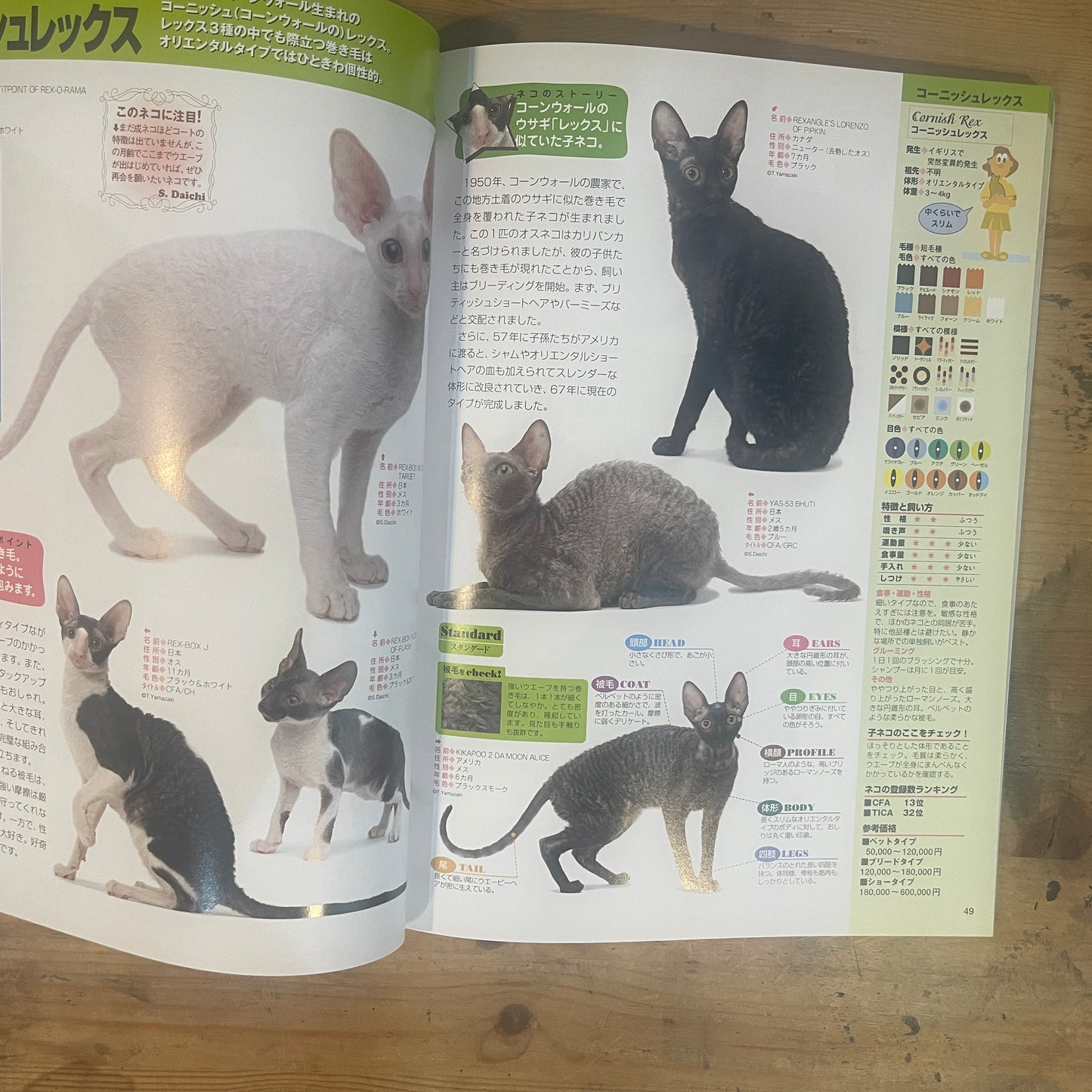 SEIBIDO MOOK 日本と世界の猫のカタログ 2009年版 / SEIBIDO MOOK: A Catalog of Cats in Japan and the World, 2009 Edition