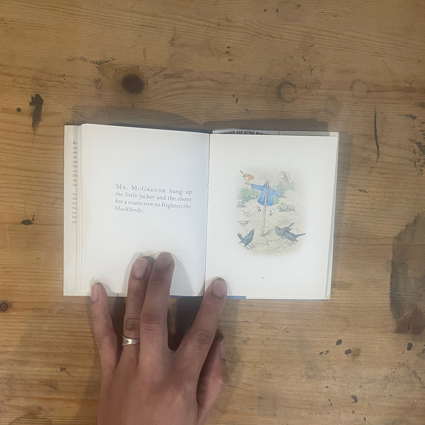 ピーターラビットのおはなし / The Tale of Peter Rabbit by Beatrix Potter