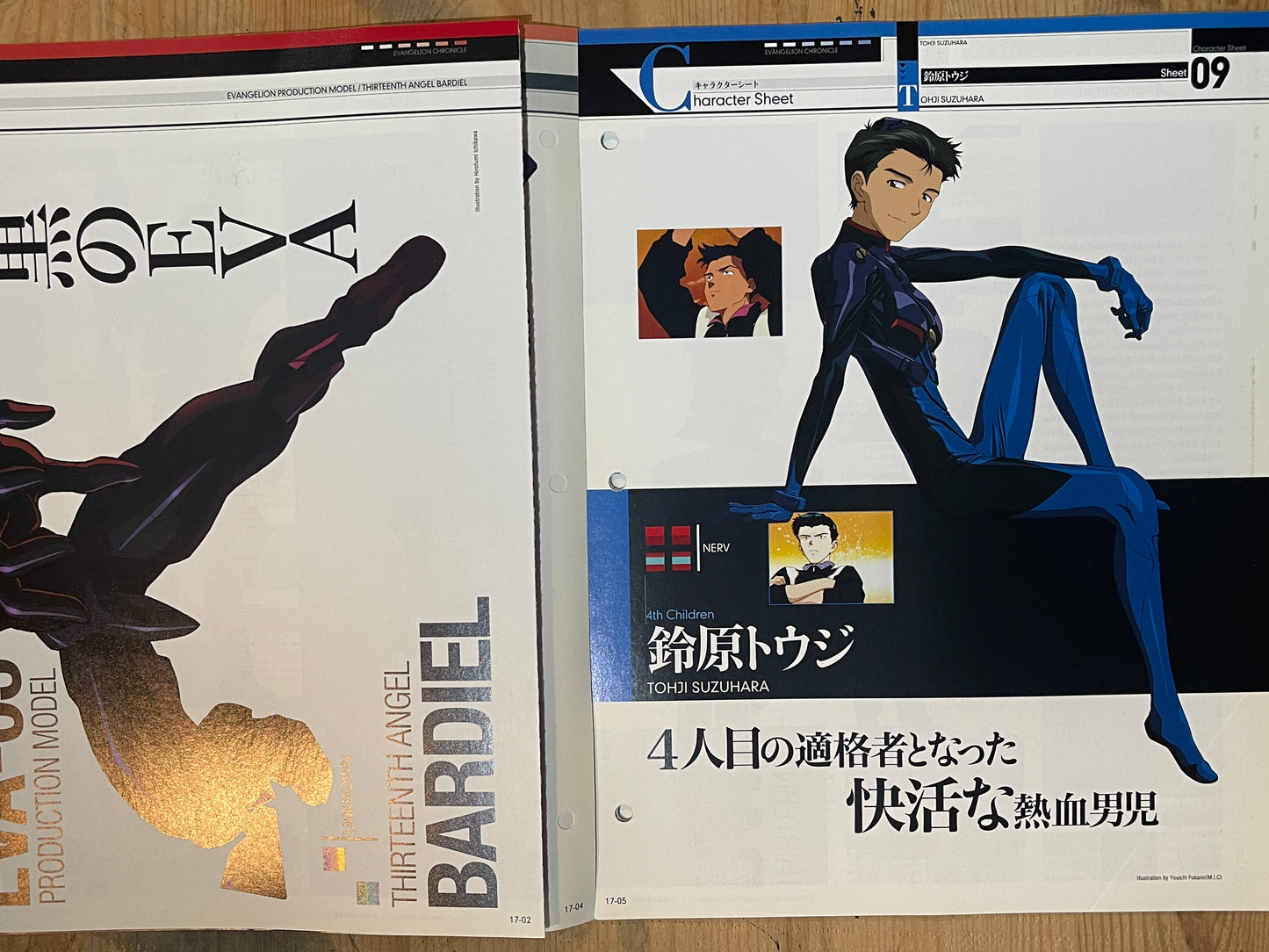 EVANGELION CHRONICLE Magazine Vol.17 – Japan Edition Neon Genesis Eva Rare